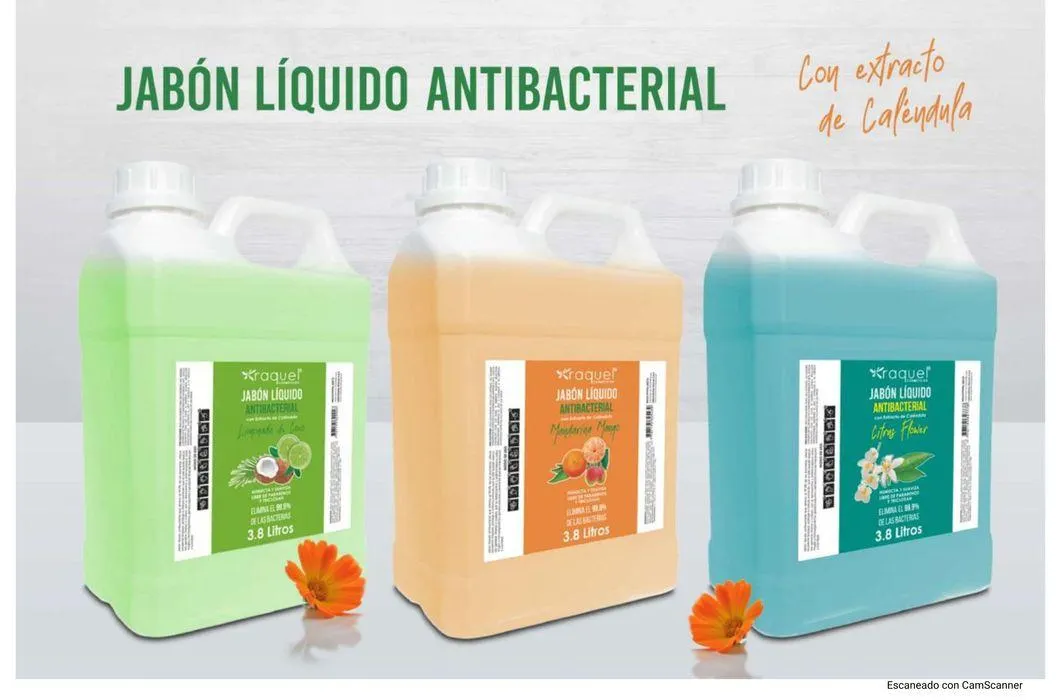 Catalogo de CATALOGO -RAQUEL 22 de febrero al 31 de diciembre 2024 - Pag 56