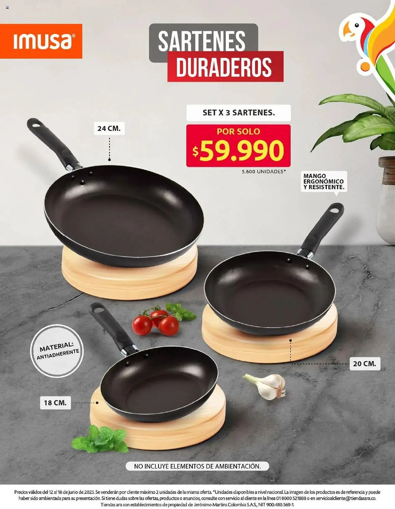 Catalogo de Catálogo Ara 12 de junio al 19 de junio 2025 - Pag 21