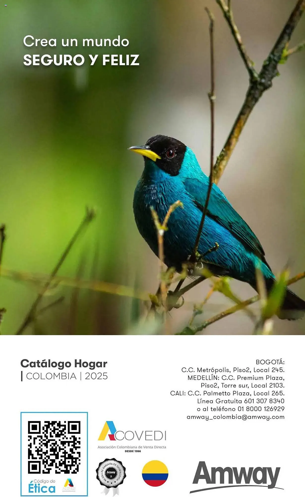 Catalogo de Catálogo Amway 30 de abril al 31 de marzo 2026 - Pag 57