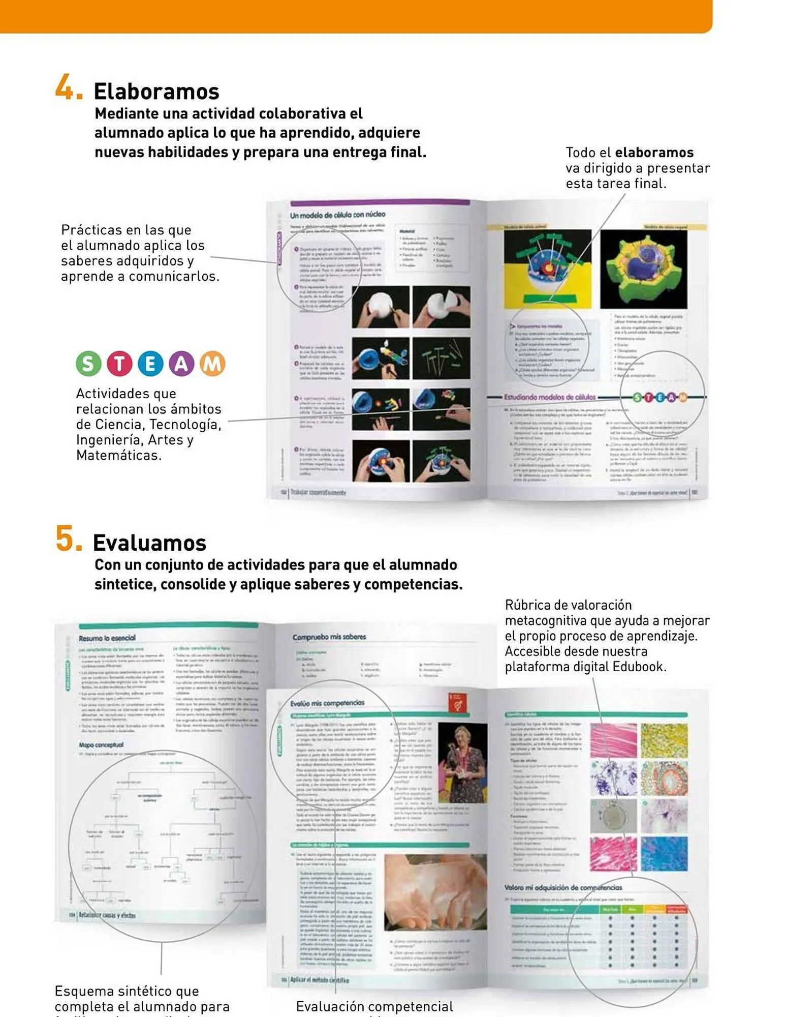 Catalogo de Catálogo Vicens Vives 20 de abril al 31 de mayo 2026 - Pag 5