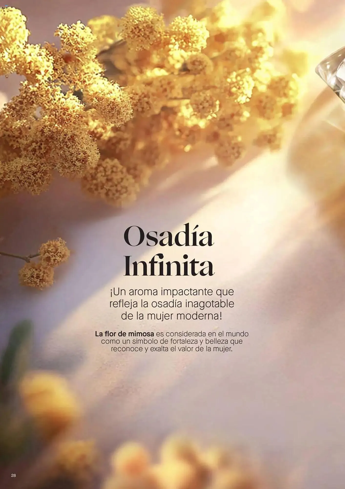 Catalogo de Catálogo Yanbal 19 de julio al 16 de agosto 2025 - Pag 30