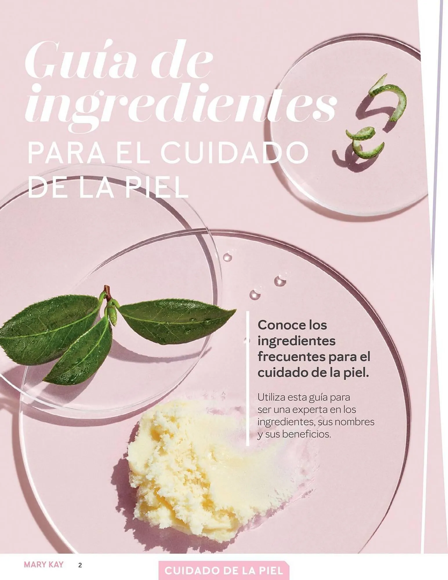 Catalogo de Catálogo Mary Kay 25 de marzo al 30 de abril 2025 - Pag 2