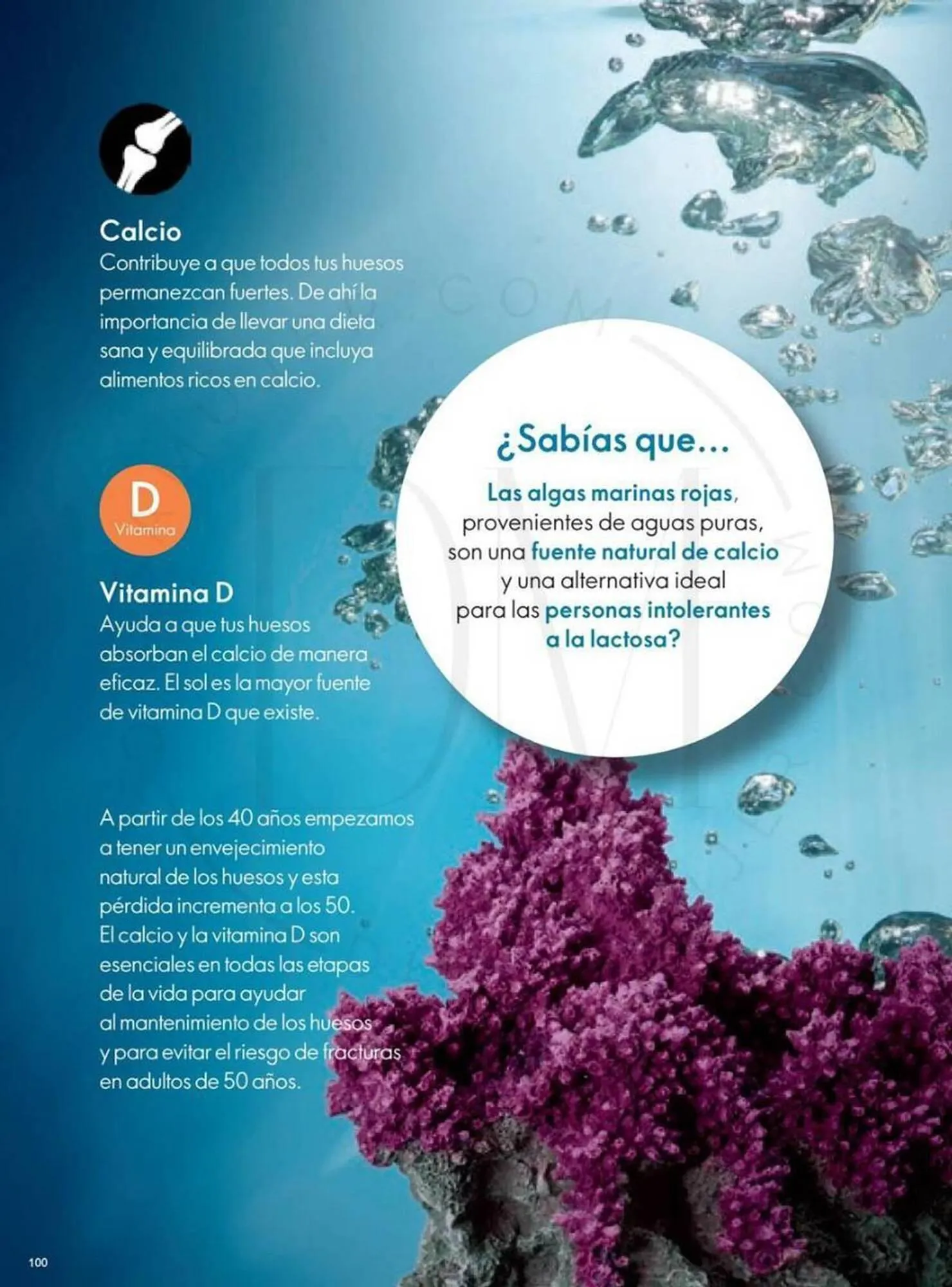 Catalogo de Catálogo Oriflame 9 de diciembre al 29 de diciembre 2023 - Pag 131