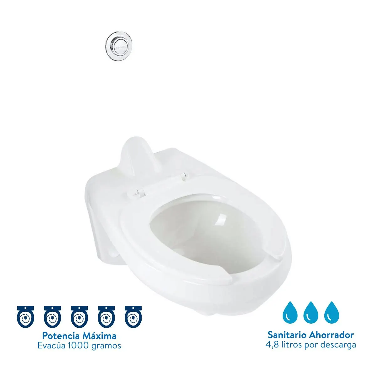 Taza Erie entrada posterior