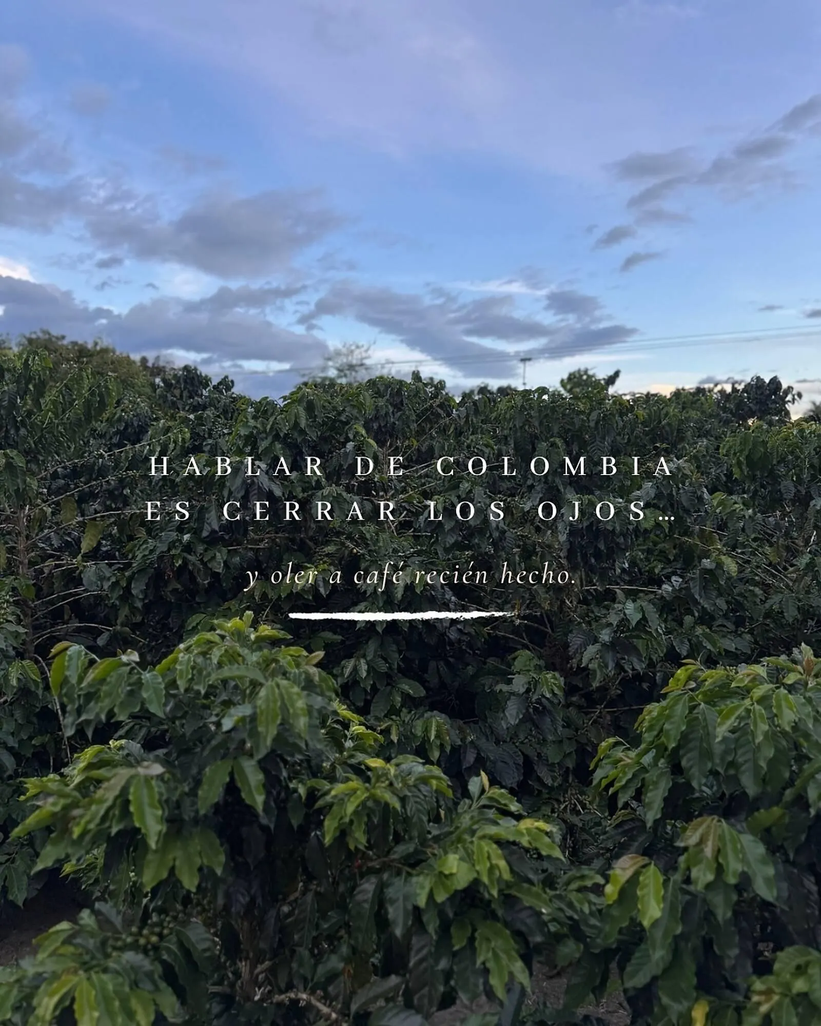 Catalogo de Catálogo HOSSH 4 de julio al 31 de julio 2025 - Pag 1