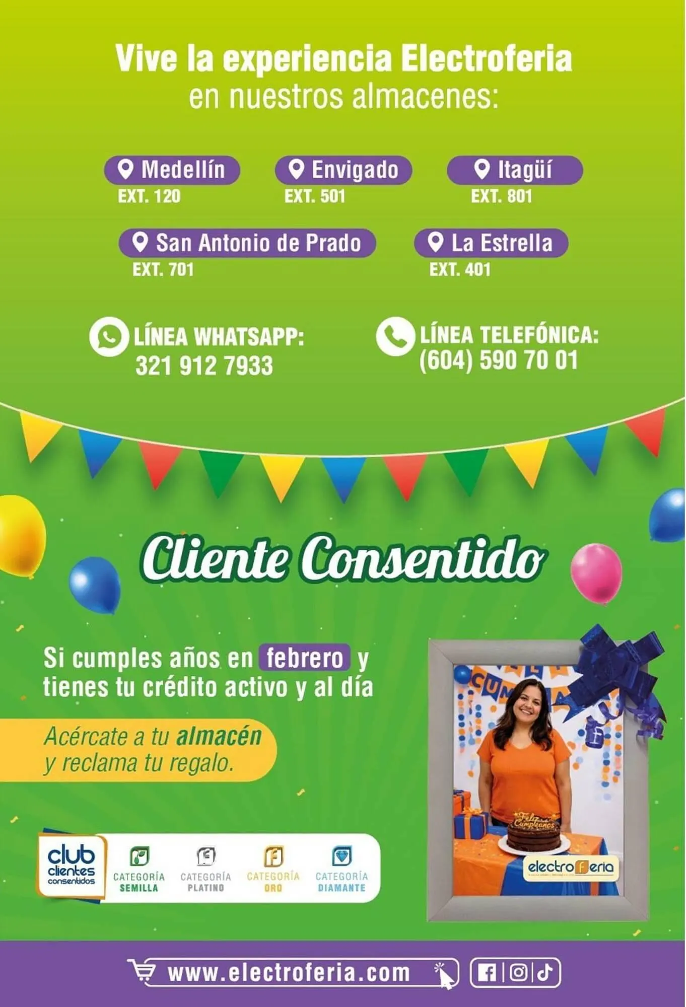 Catalogo de Catálogo Electroferia 1 de febrero al 28 de febrero 2026 - Pag 16