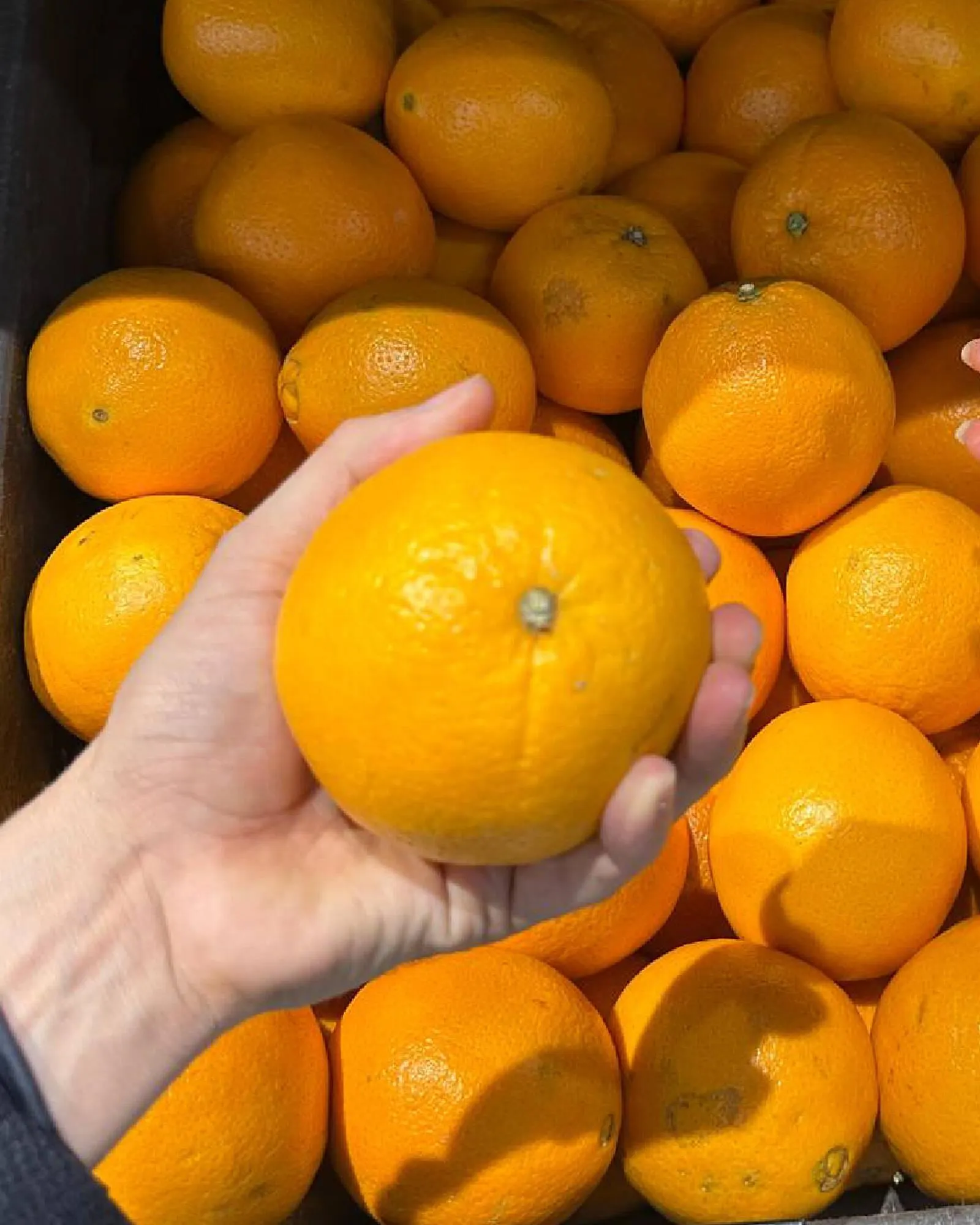 Catalogo de Catálogo Carulla 29 de abril al 5 de mayo 2025 - Pag 2