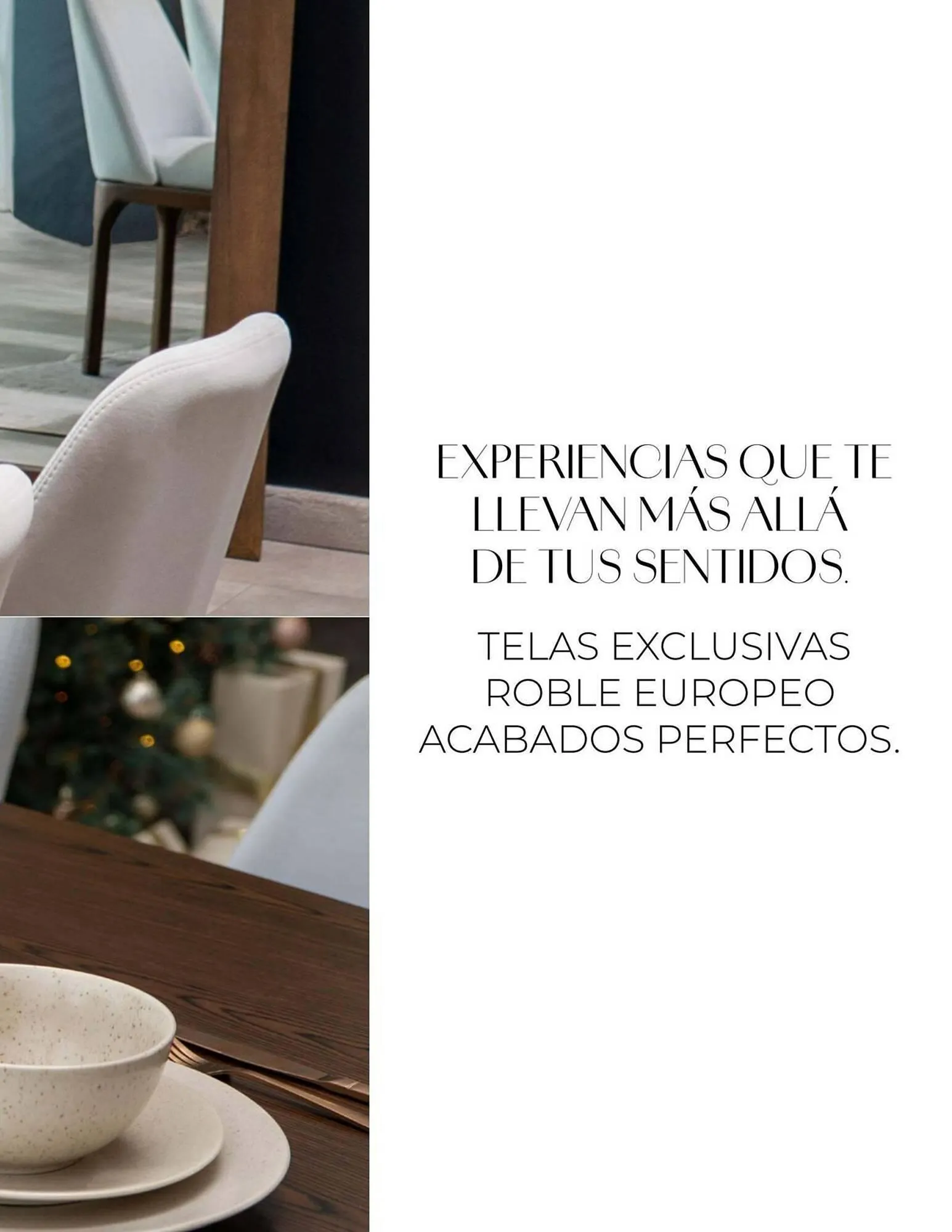 Catalogo de Catálogo Aristas 19 de septiembre al 31 de diciembre 2025 - Pag 17