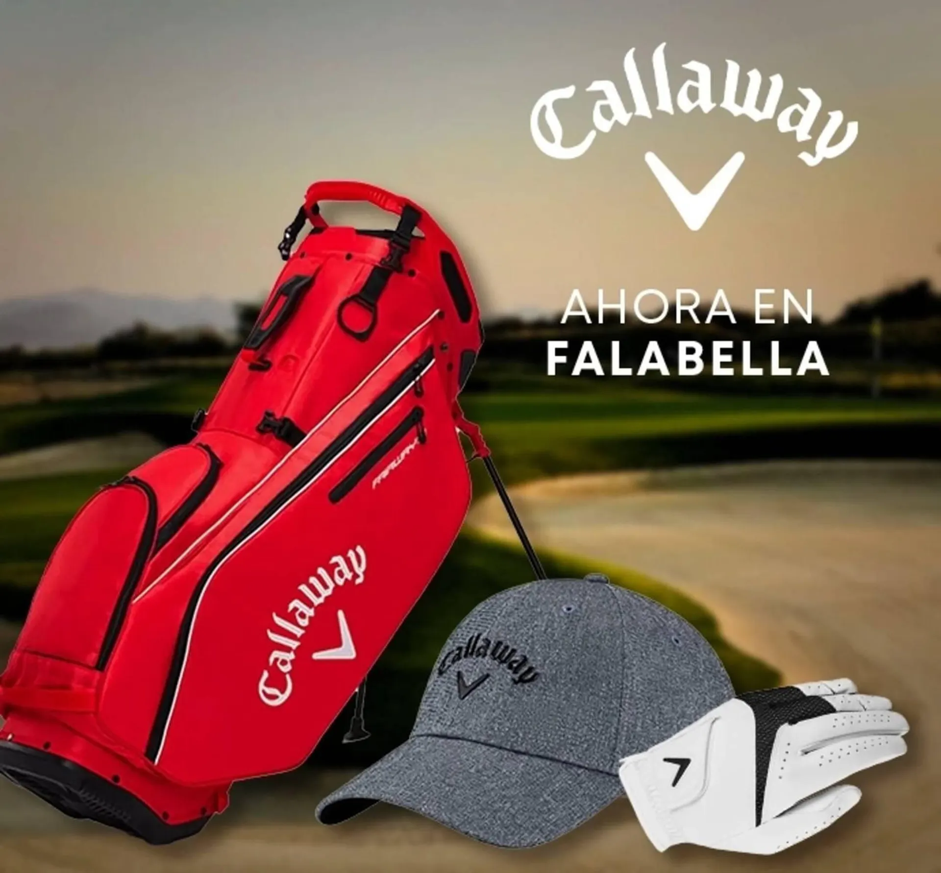 Catalogo de Catálogo Falabella 5 de junio al 30 de junio 2025 - Pag 17