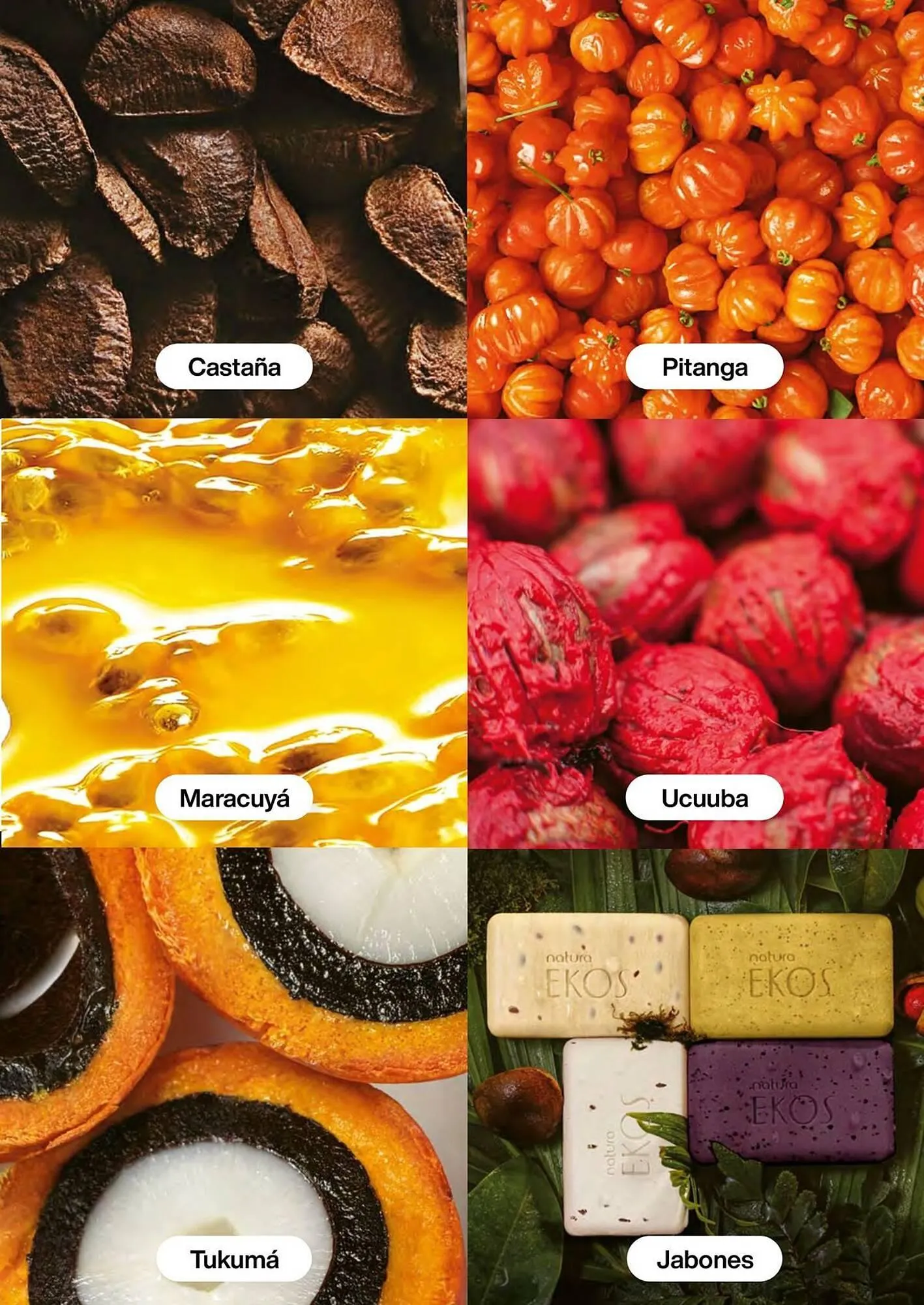 Catalogo de Catálogo Natura 7 de octubre al 31 de octubre 2025 - Pag 123