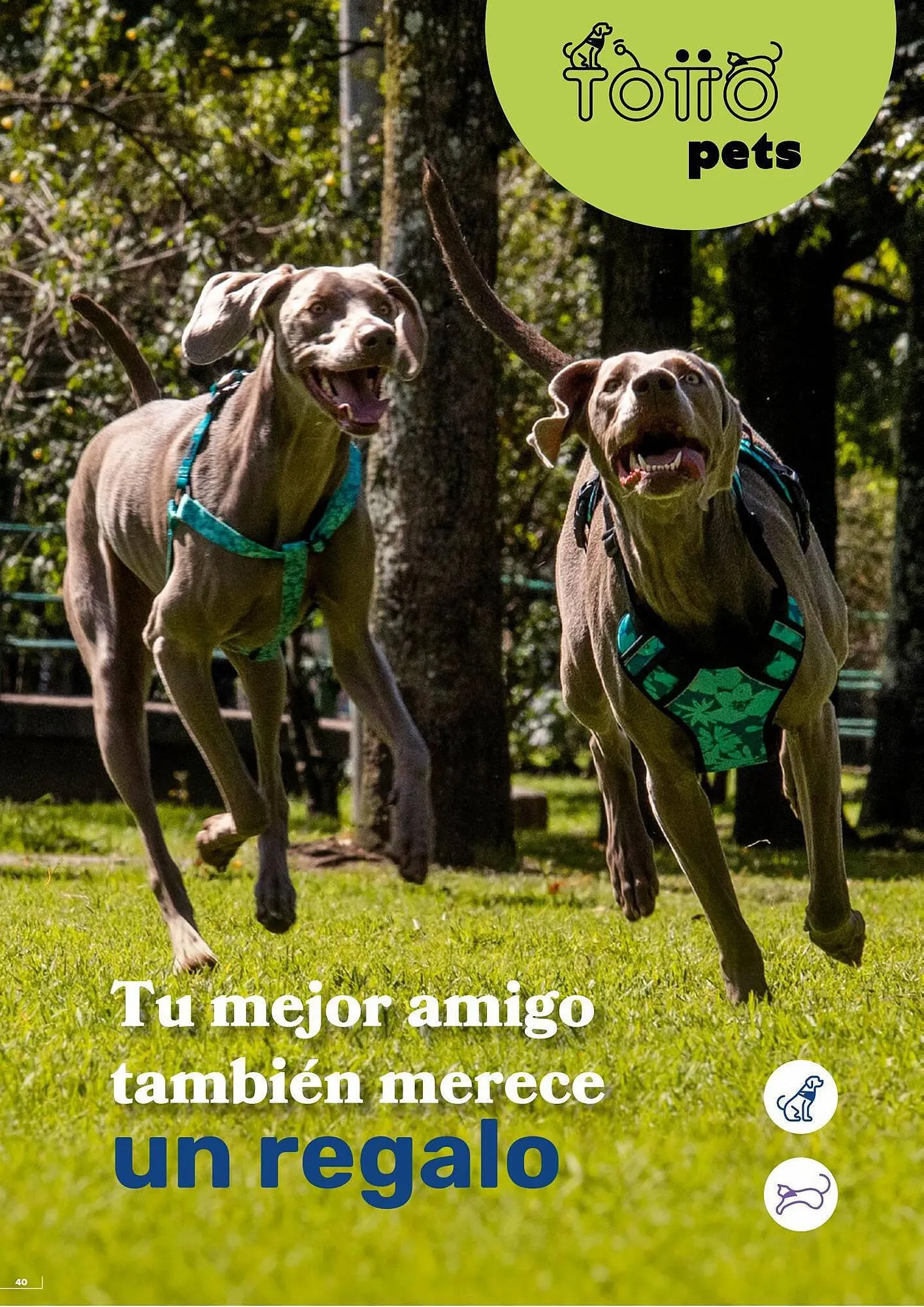 Catalogo de Catálogo Totto 7 de septiembre al 30 de septiembre 2023 - Pag 40