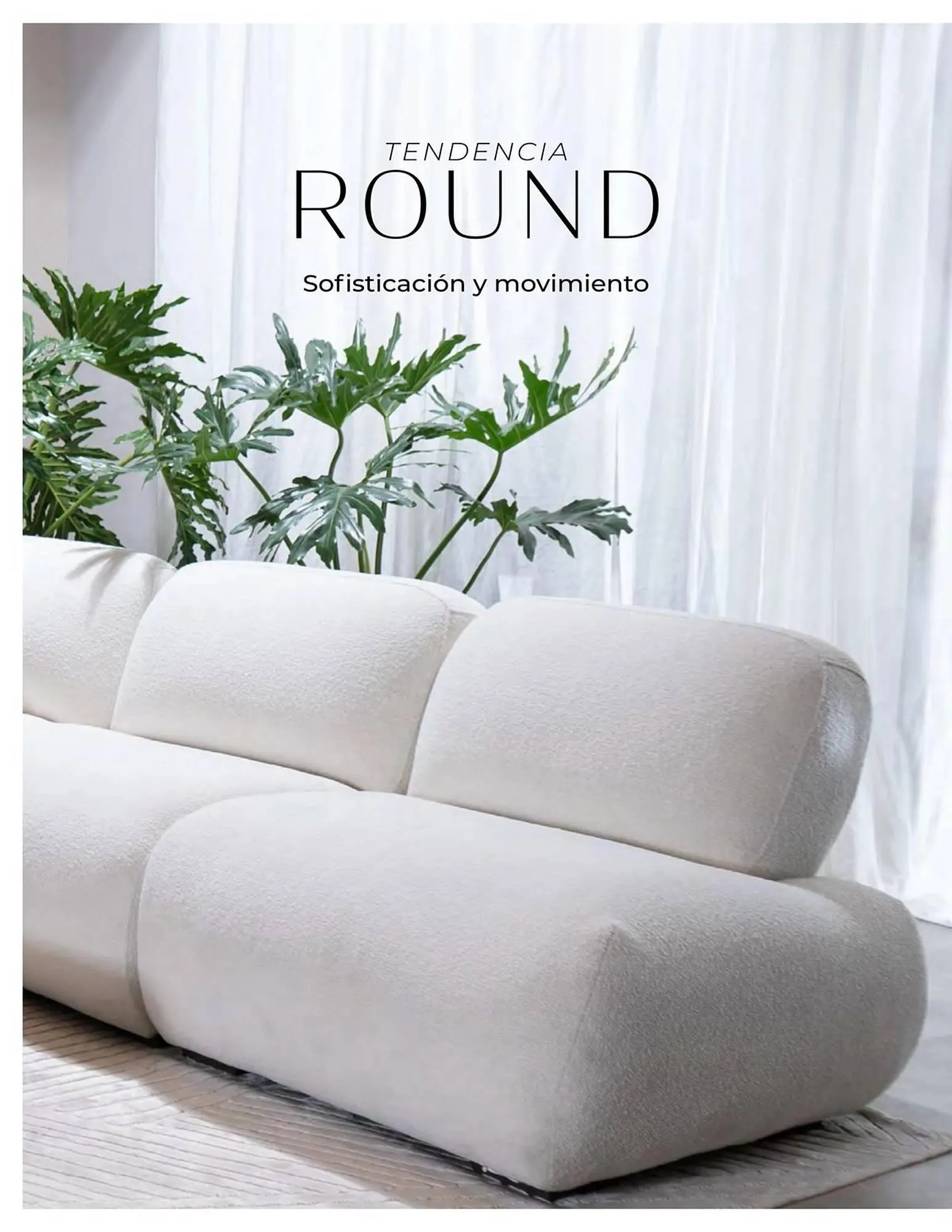 Catalogo de Catálogo Aristas 9 de febrero al 31 de diciembre 2024 - Pag 4