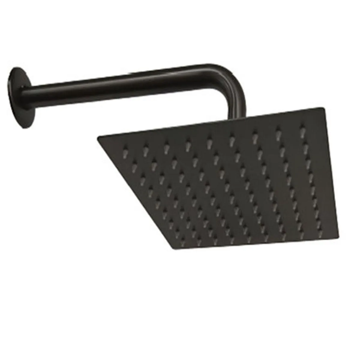 Regadera brazo grafito austral