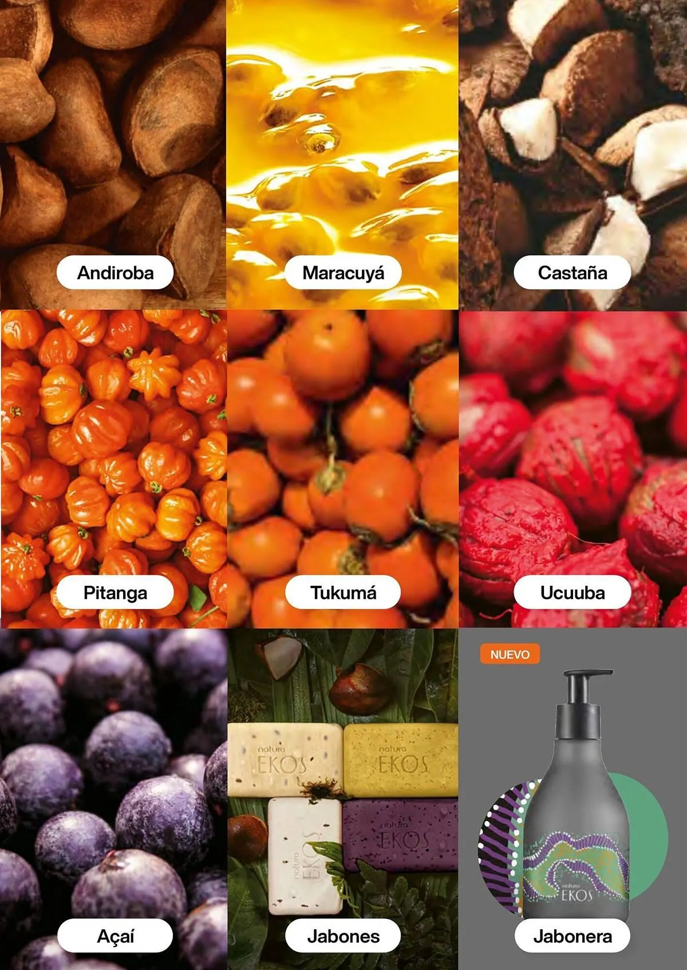 Catalogo de Catálogo Natura 1 de enero al 31 de enero 2026 - Pag 105