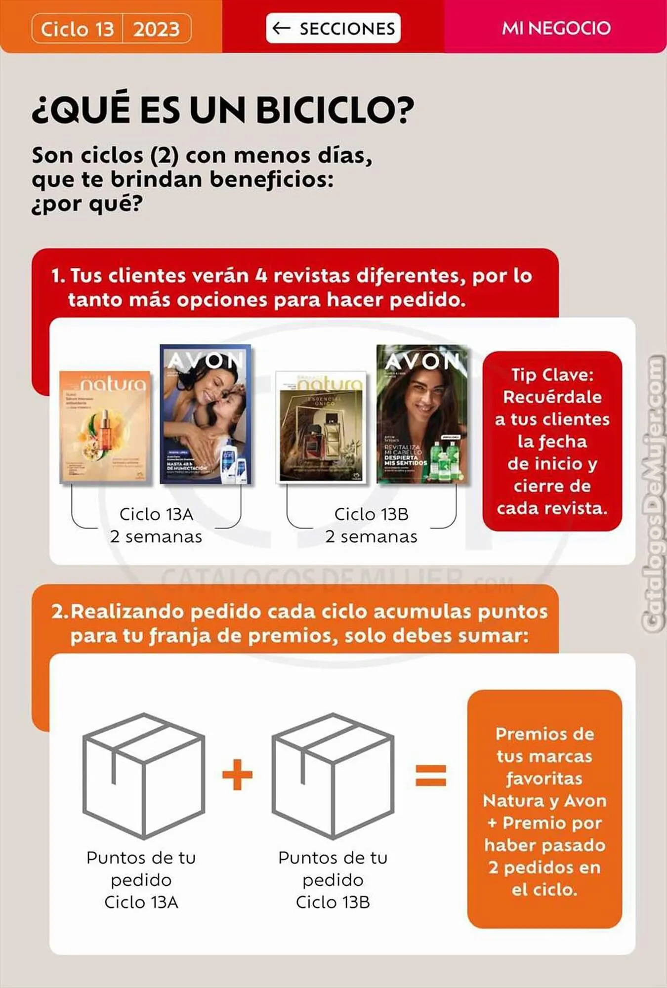 Catalogo de Catálogo Natura 31 de agosto al 15 de octubre 2023 - Pag 15