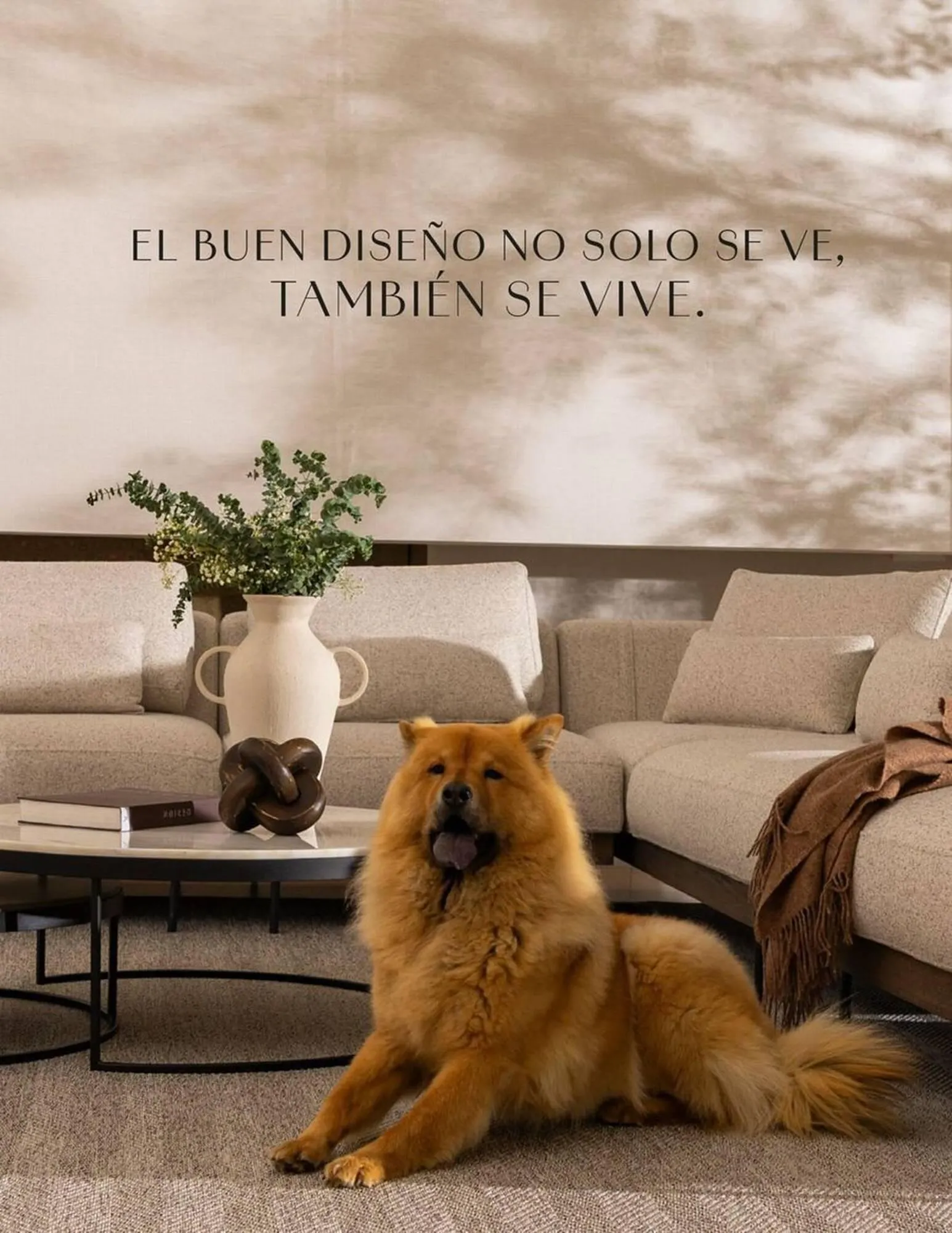 Catalogo de Catálogo Aristas 16 de septiembre al 31 de octubre 2025 - Pag 25