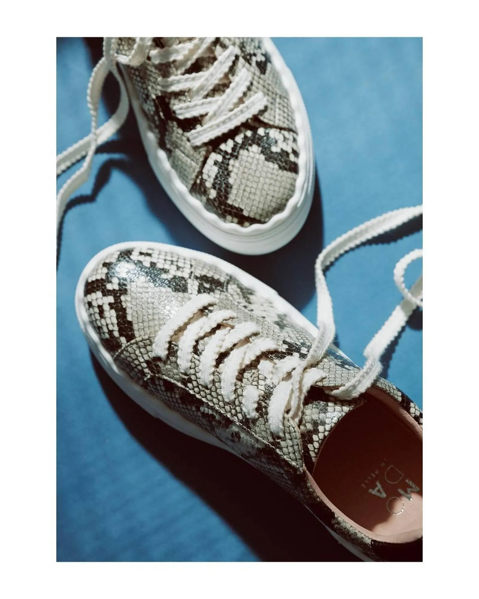 Catalogo de Catálogo Moda In Pelle 24 de abril al 30 de abril 2026 - Pag 2