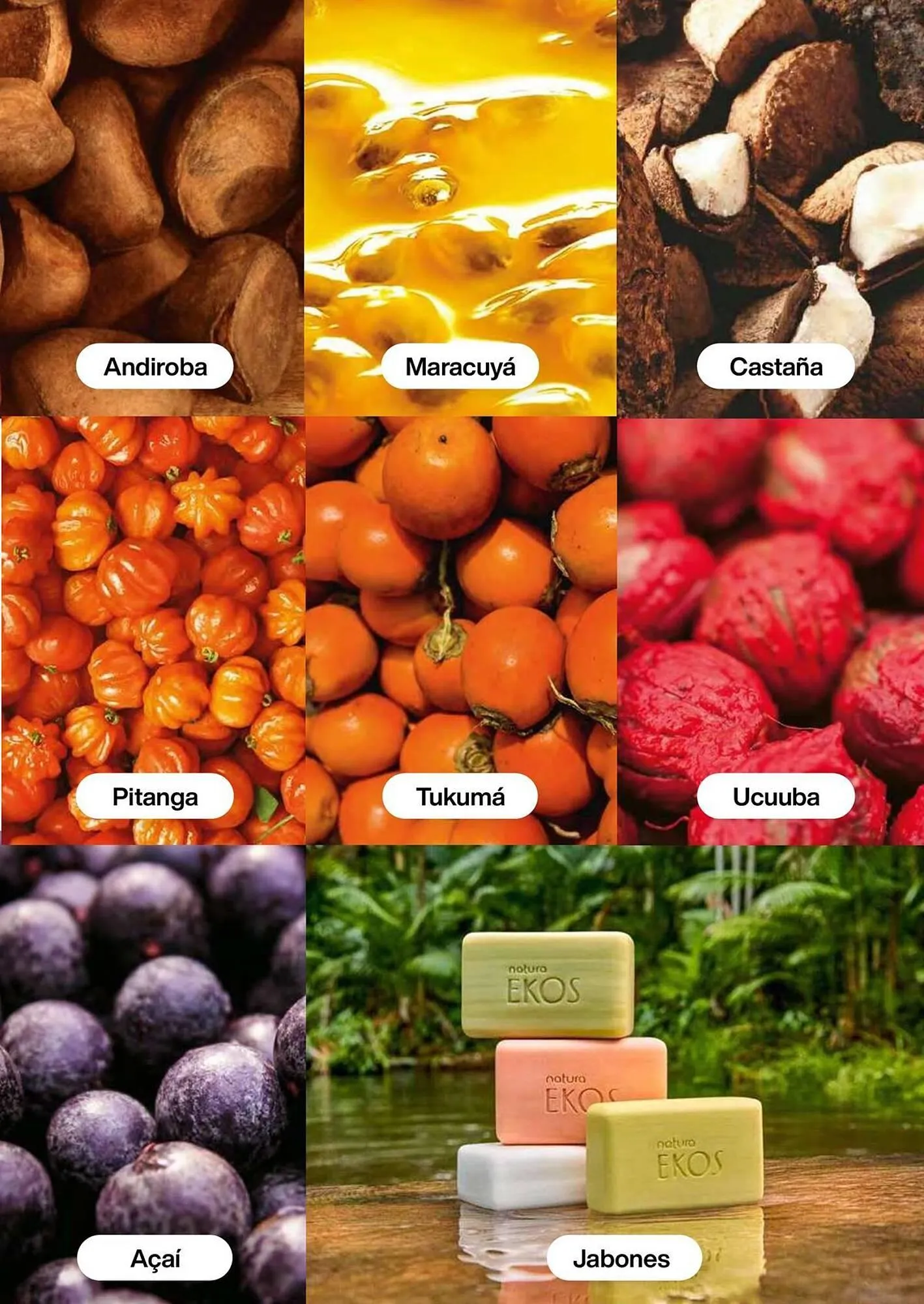 Catalogo de Catálogo Natura 24 de octubre al 7 de noviembre 2025 - Pag 136