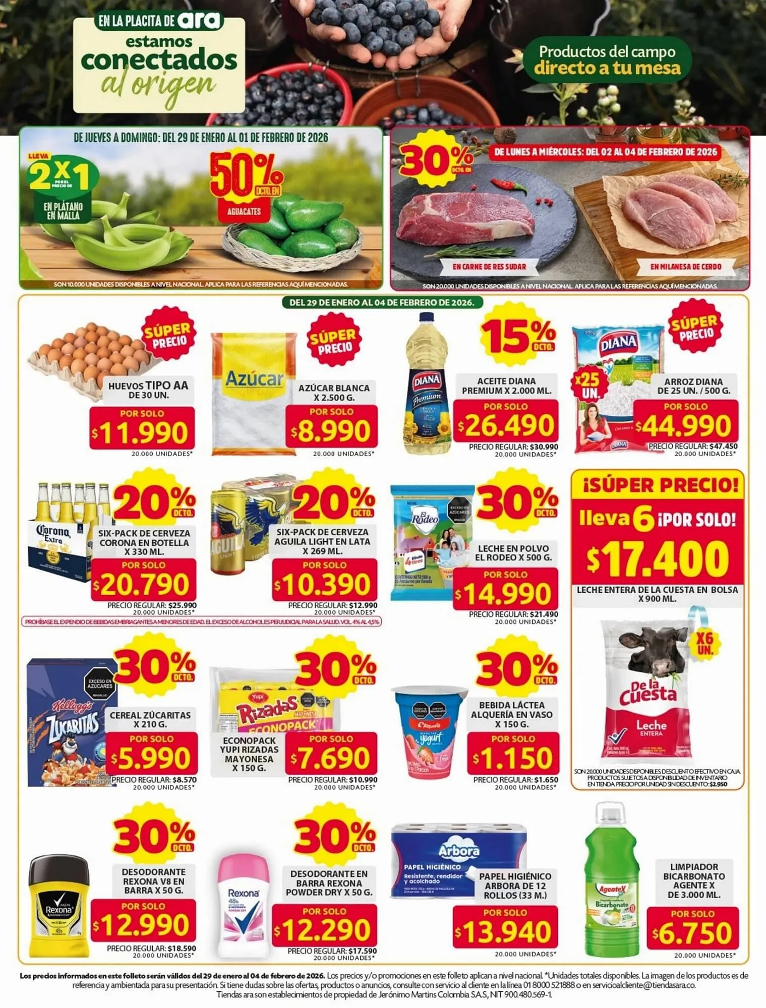 Catalogo de Catálogo Ara 29 de enero al 4 de febrero 2026 - Pag 3