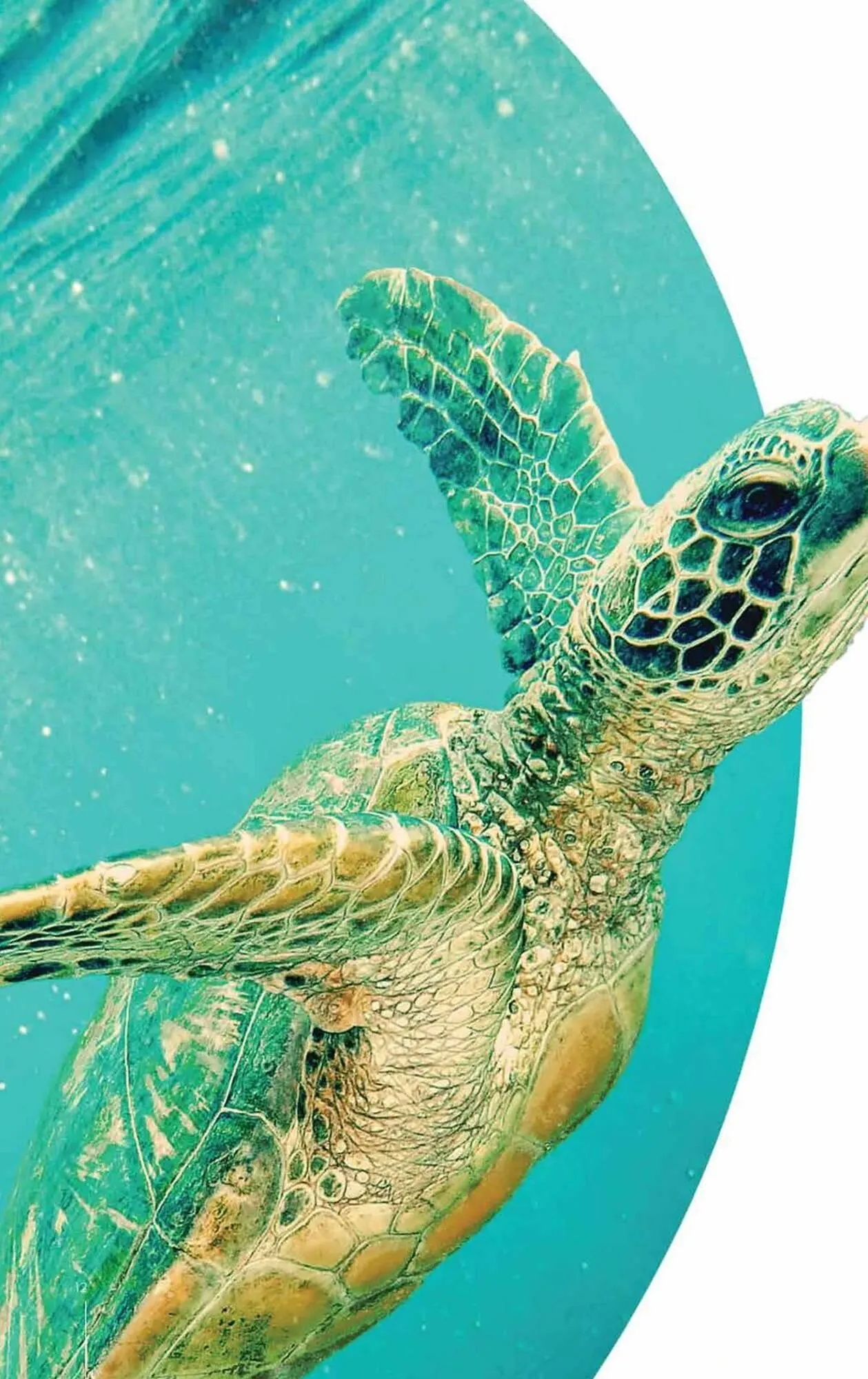 Catalogo de Catálogo Droguerías Colsubsidio 17 de julio al 31 de julio 2025 - Pag 12