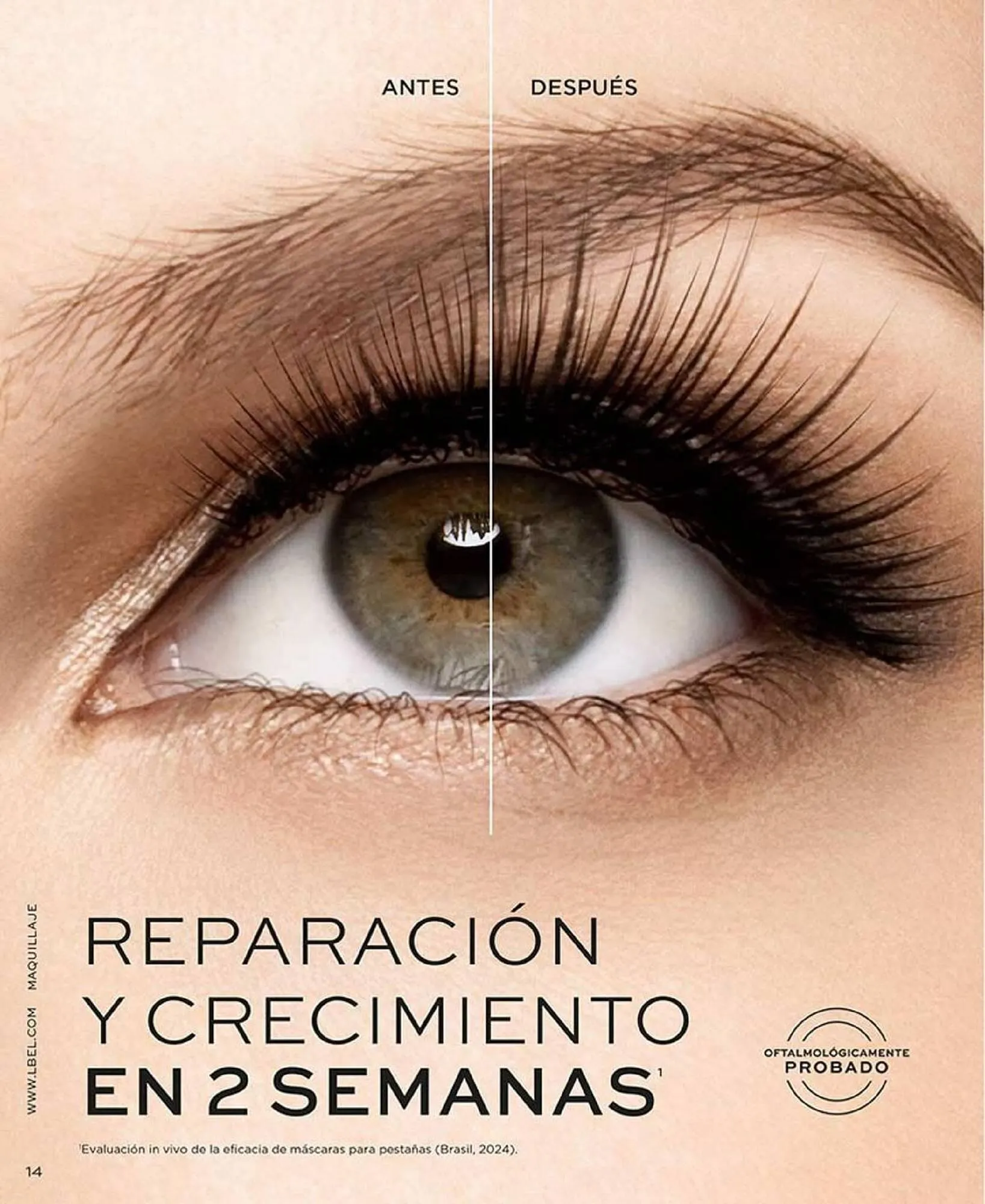 Catalogo de Catálogo L'bel 13 de octubre al 13 de noviembre 2025 - Pag 14