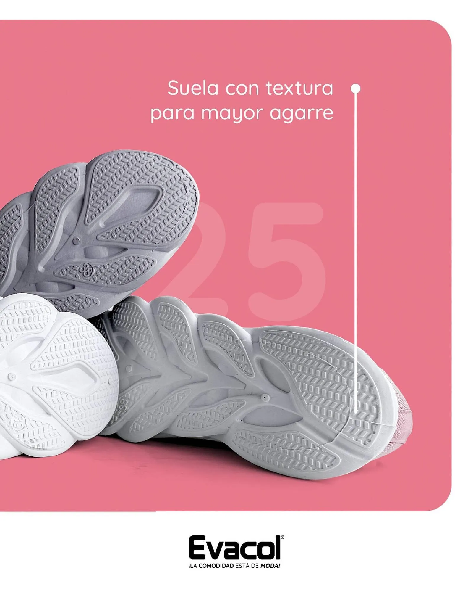 Catalogo de Catálogo Evacol 11 de marzo al 31 de marzo 2025 - Pag 3