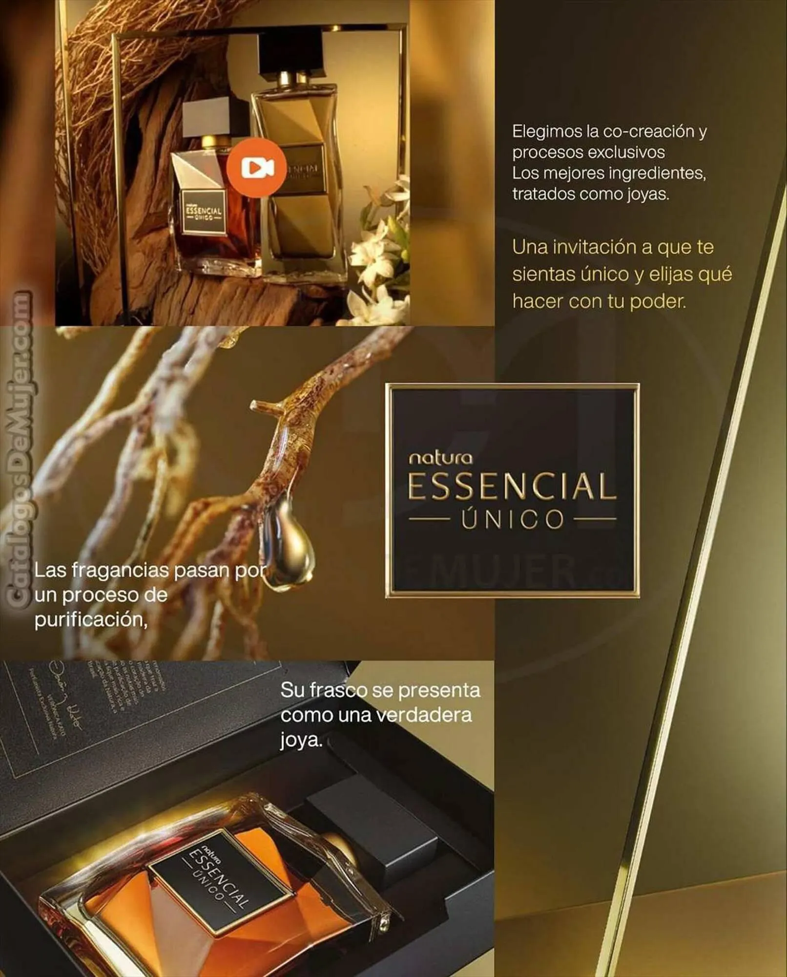 Catalogo de Catálogo Natura 8 de septiembre al 30 de septiembre 2023 - Pag 2