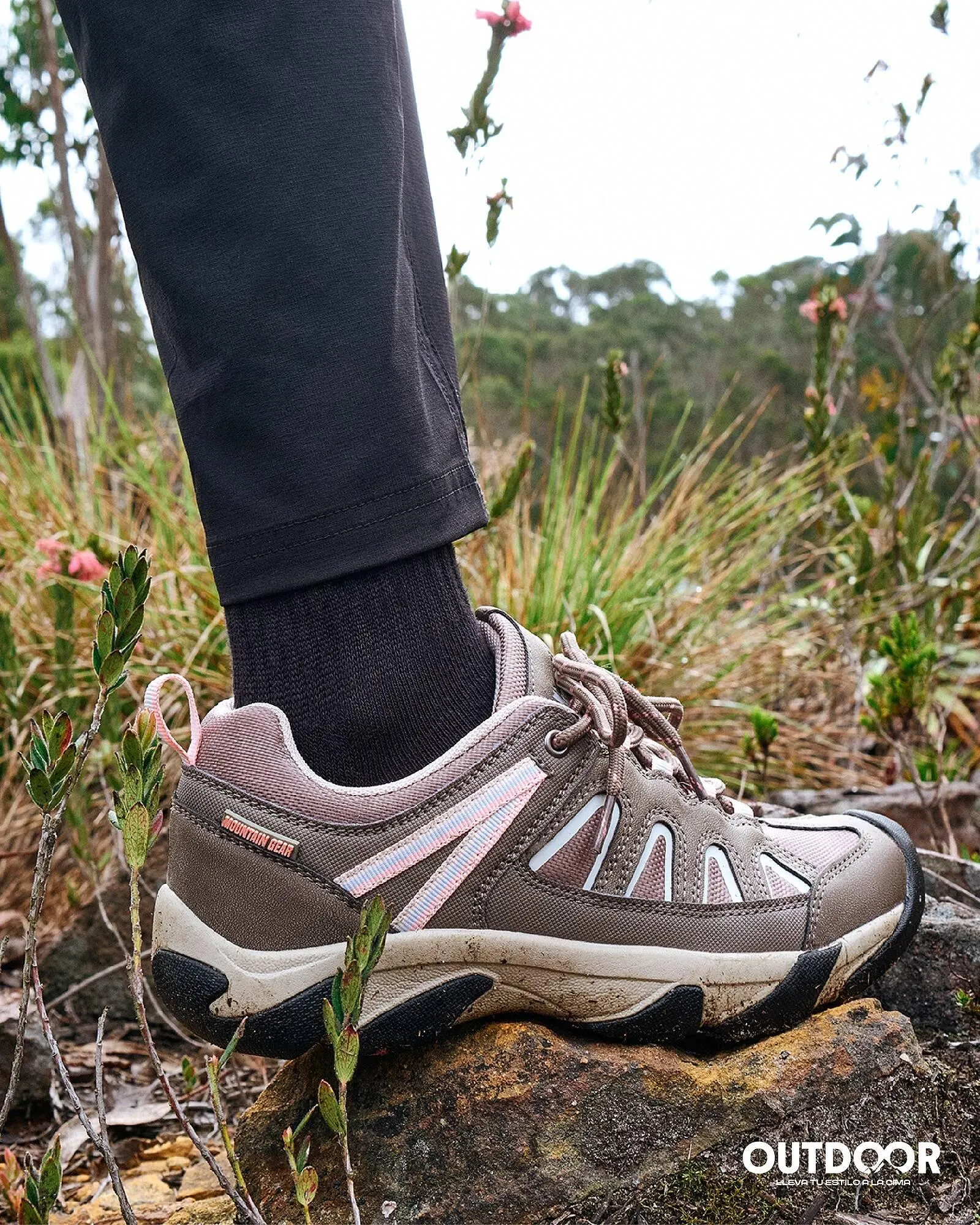 Catalogo de Catálogo Falabella 3 de abril al 10 de abril 2026 - Pag 2