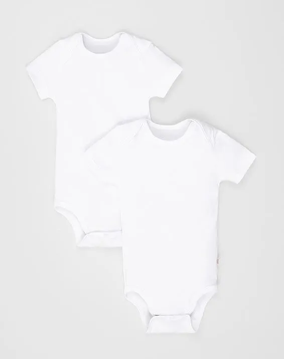 Tiempos de entrega: Desde 3 hasta 6 días hábiles.