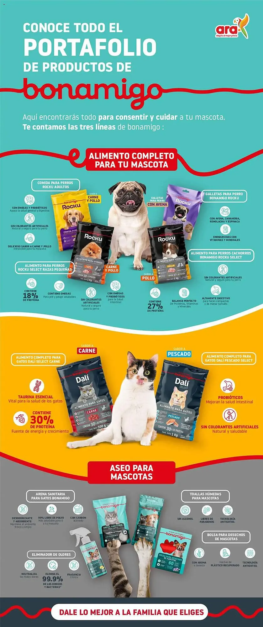 Catalogo de Catálogo Ara 16 de enero al 31 de enero 2026 - Pag 1