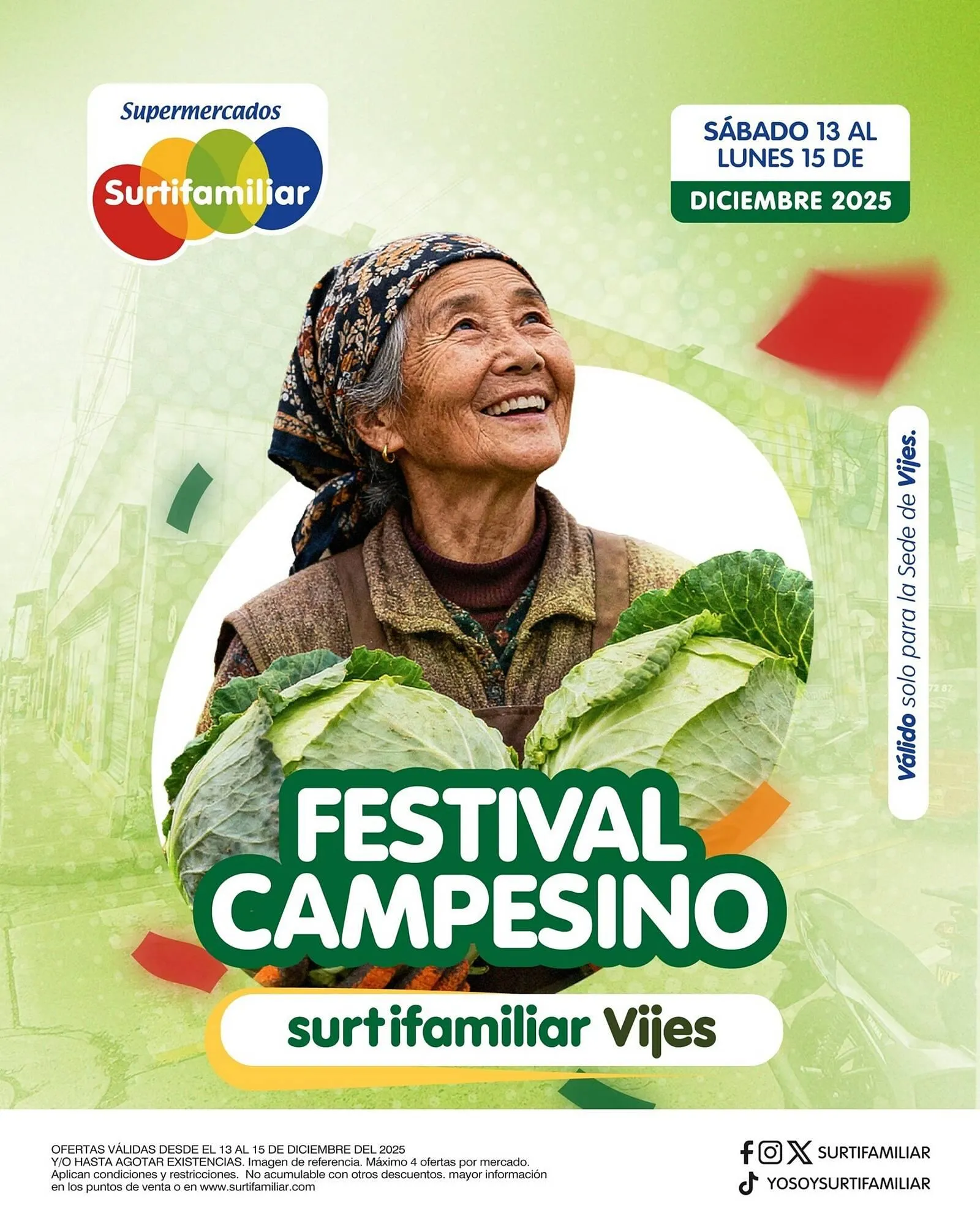 Catálogo Surtifamiliar - 1