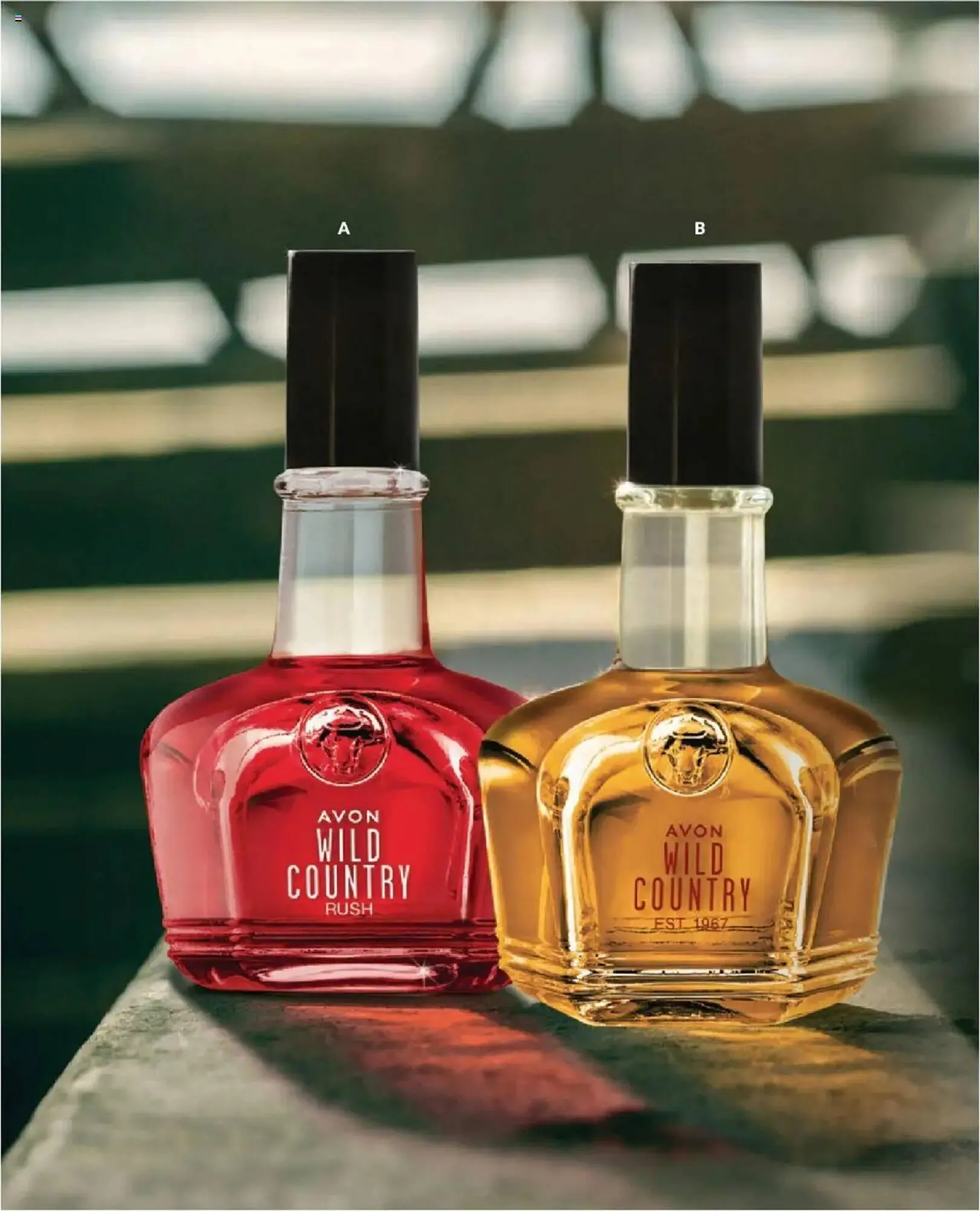 Catalogo de Catálogo Avon 15 de febrero al 31 de marzo 2025 - Pag 250