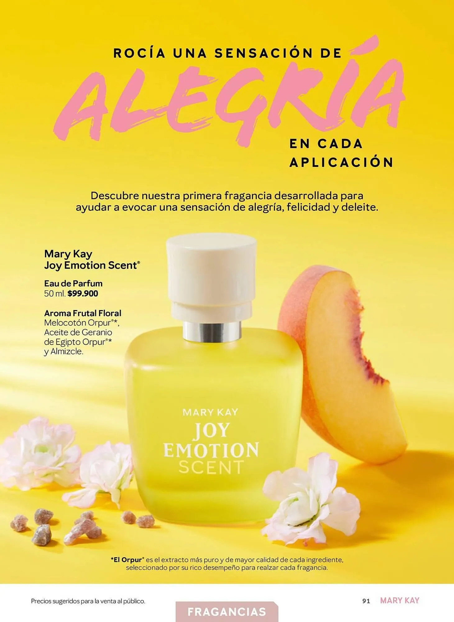 Catalogo de Catálogo Mary Kay 1 de julio al 30 de septiembre 2025 - Pag 91