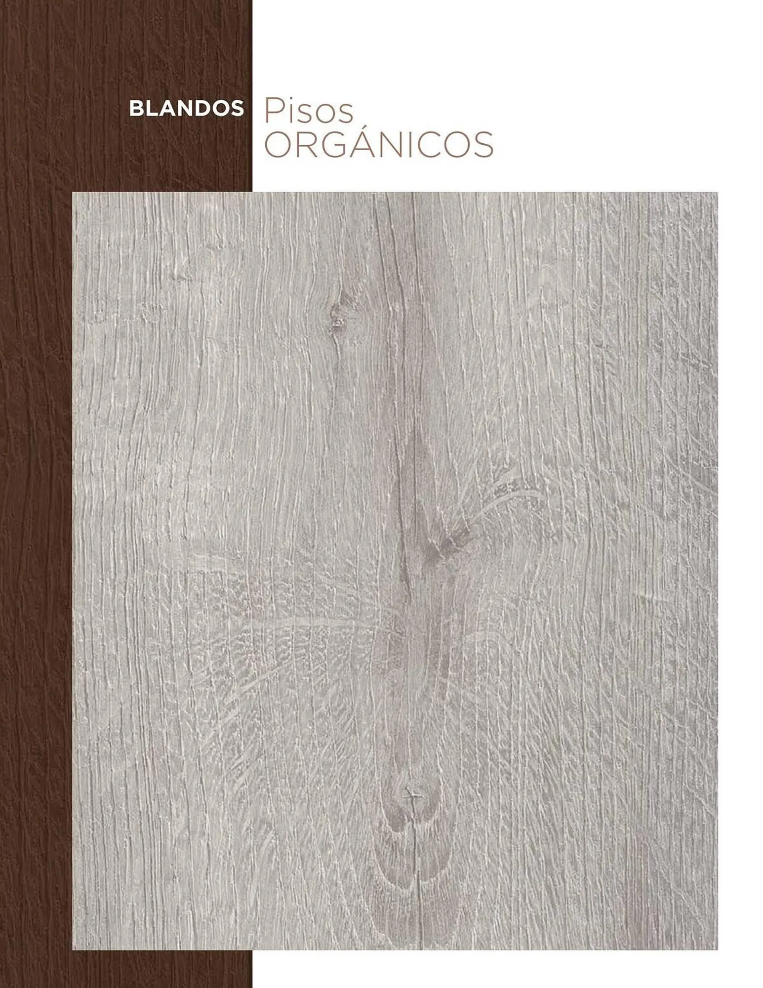 Catalogo de Catálogo Decorceramica 9 de diciembre al 31 de diciembre 2025 - Pag 231