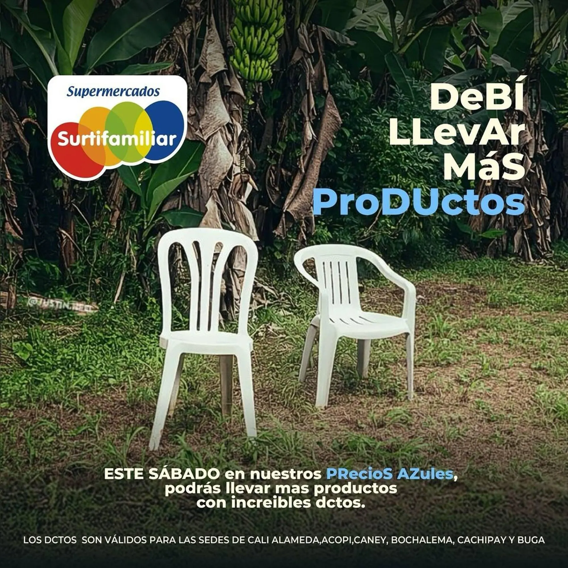 Catalogo de Catálogo Surtifamiliar 26 de enero al 10 de febrero 2025 - Pag 4