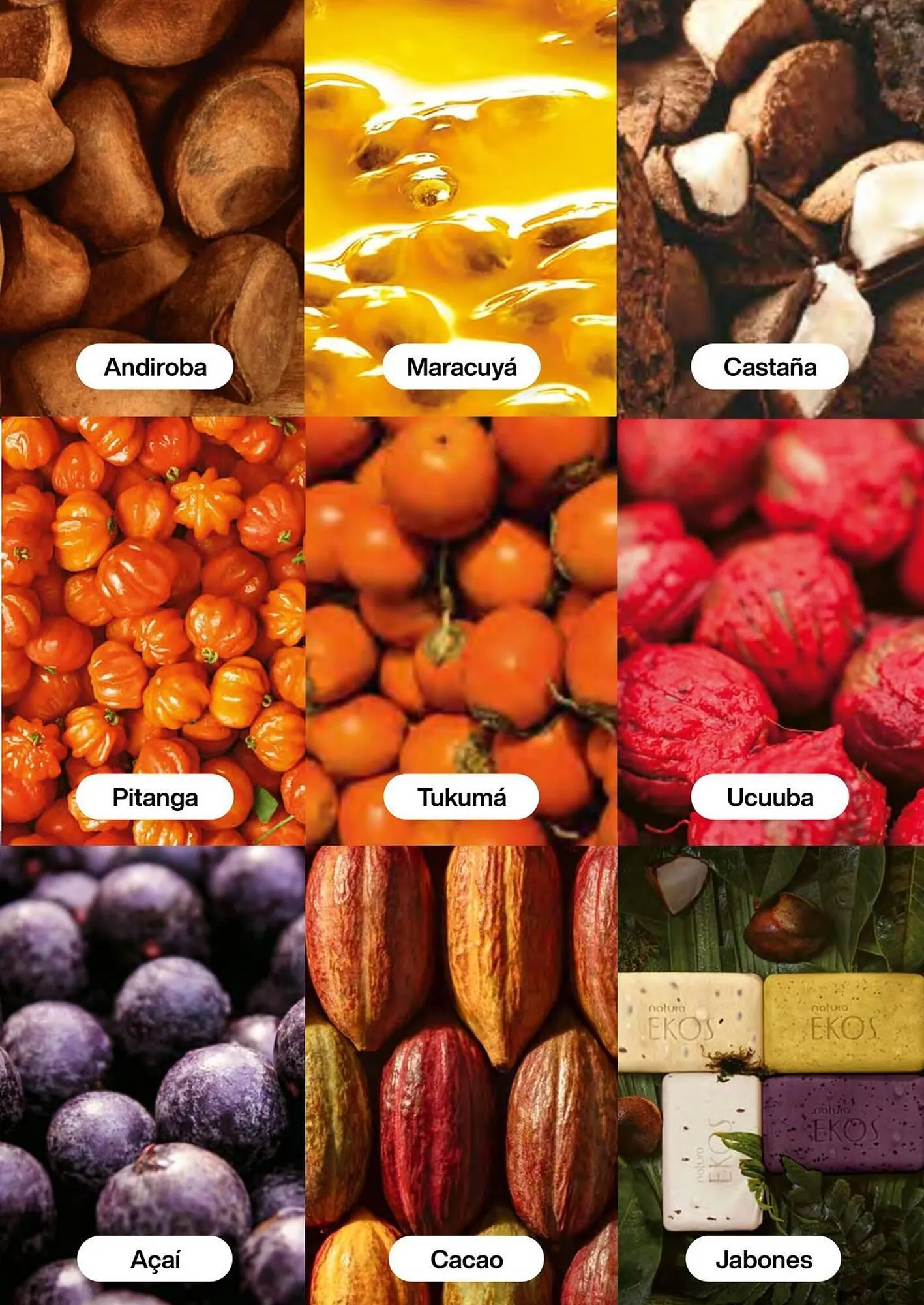 Catalogo de Catálogo Natura 1 de marzo al 31 de marzo 2026 - Pag 102