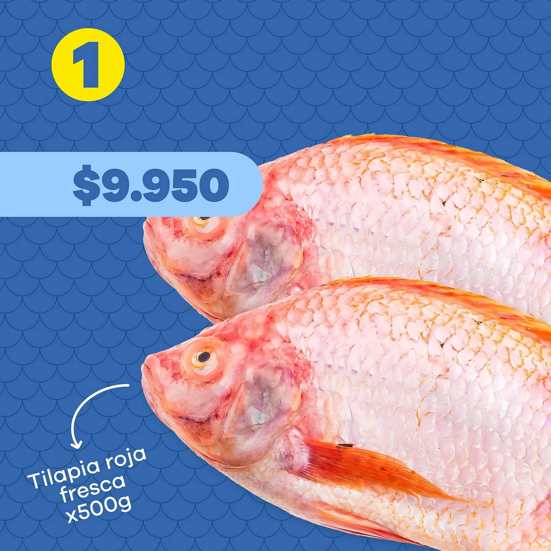 Catalogo de Catálogo Éxito 13 de marzo al 13 de marzo 2026 - Pag 6