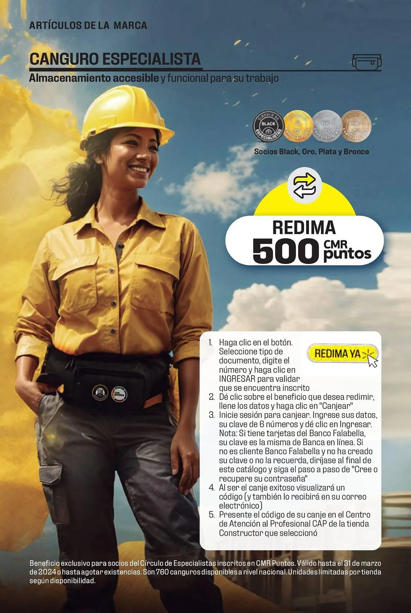 Catalogo de Catálogo Constructor 15 de enero al 31 de marzo 2024 - Pag 19