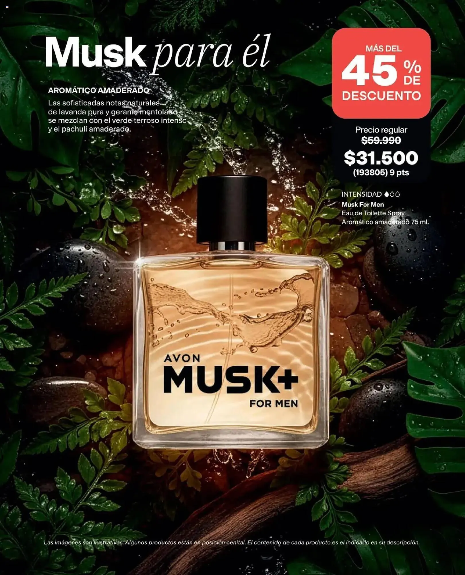 Catalogo de Catálogo Avon 1 de agosto al 31 de agosto 2026 - Pag 79