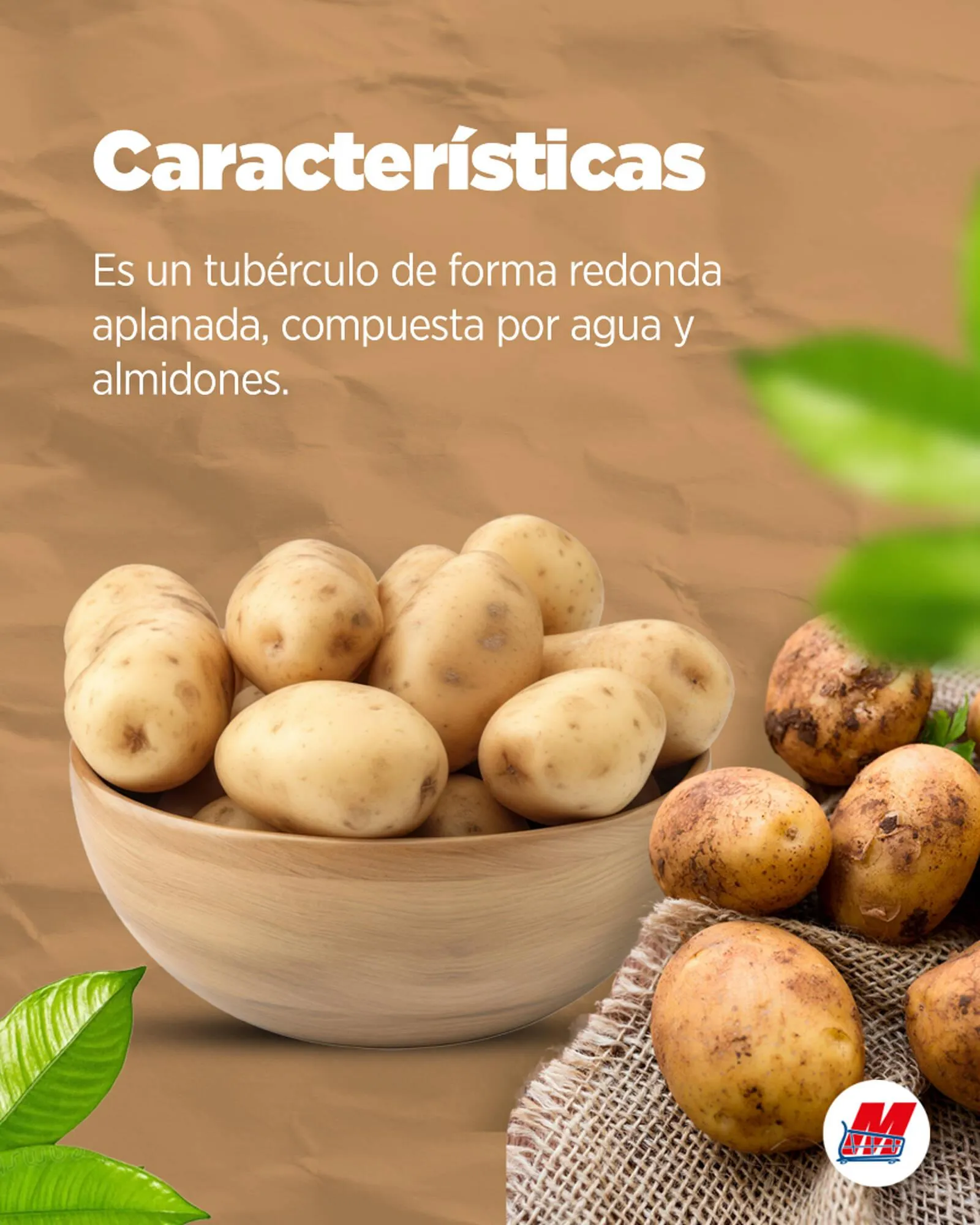 Catalogo de Catálogo MegaTiendas 14 de abril al 20 de abril 2025 - Pag 2