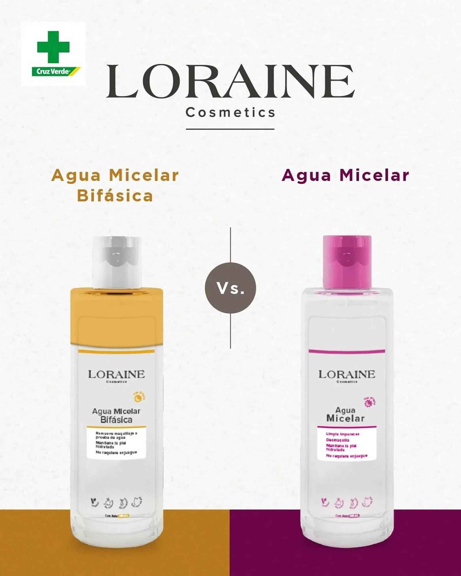 Catálogo Cruz verde - 1