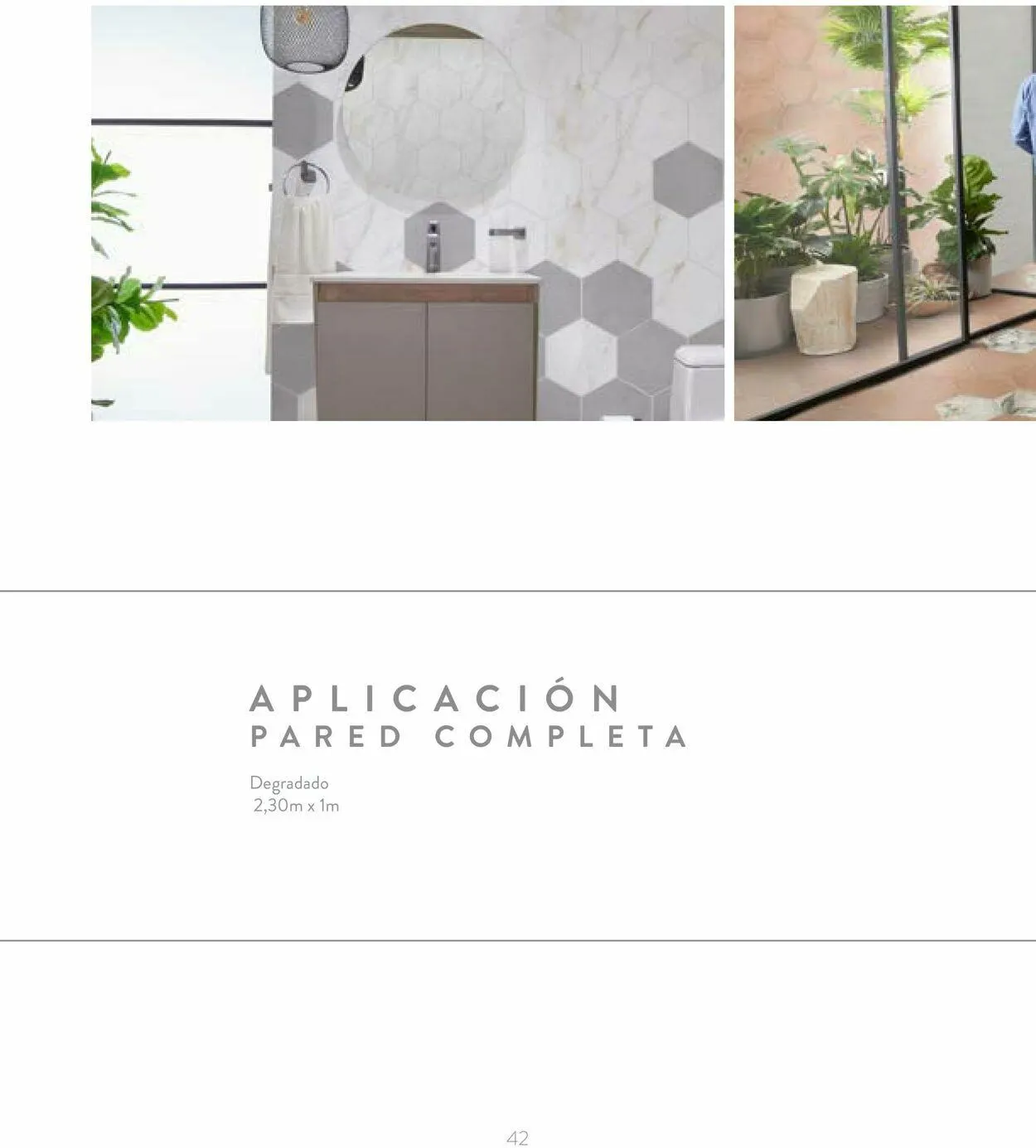 Catalogo de Corona 1 de junio al 31 de diciembre 2023 - Pag 42