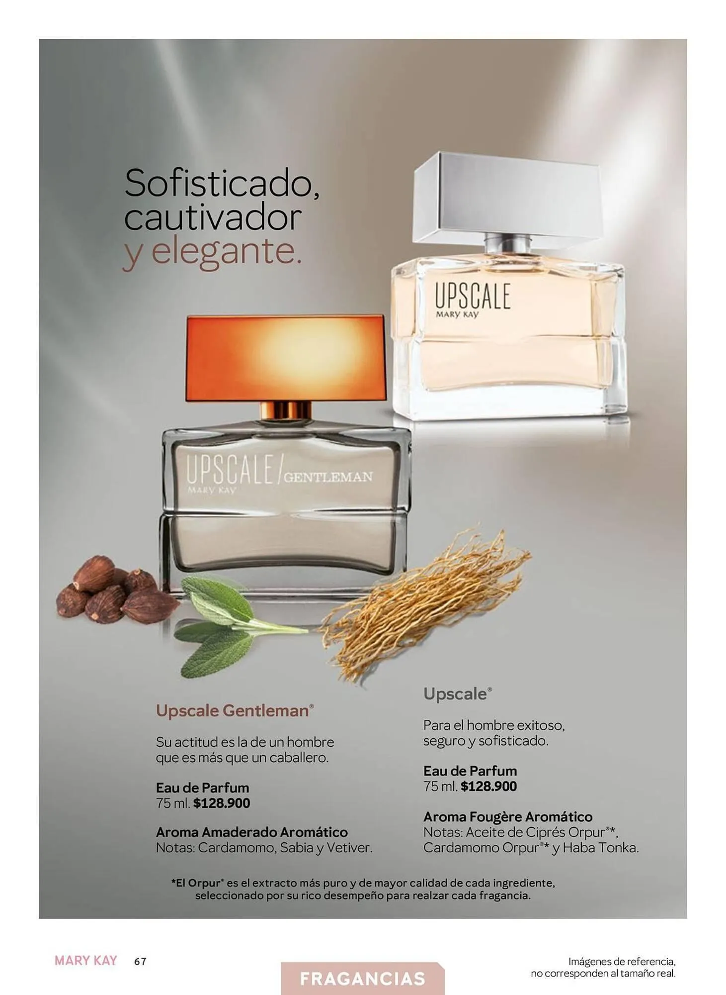 Catalogo de Catálogo Mary Kay 25 de marzo al 30 de abril 2025 - Pag 67