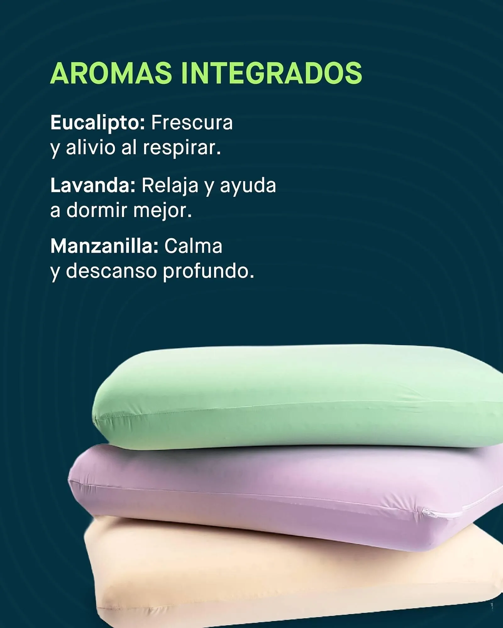 Catalogo de Catálogo Muebles Jamar 16 de enero al 20 de enero 2026 - Pag 4
