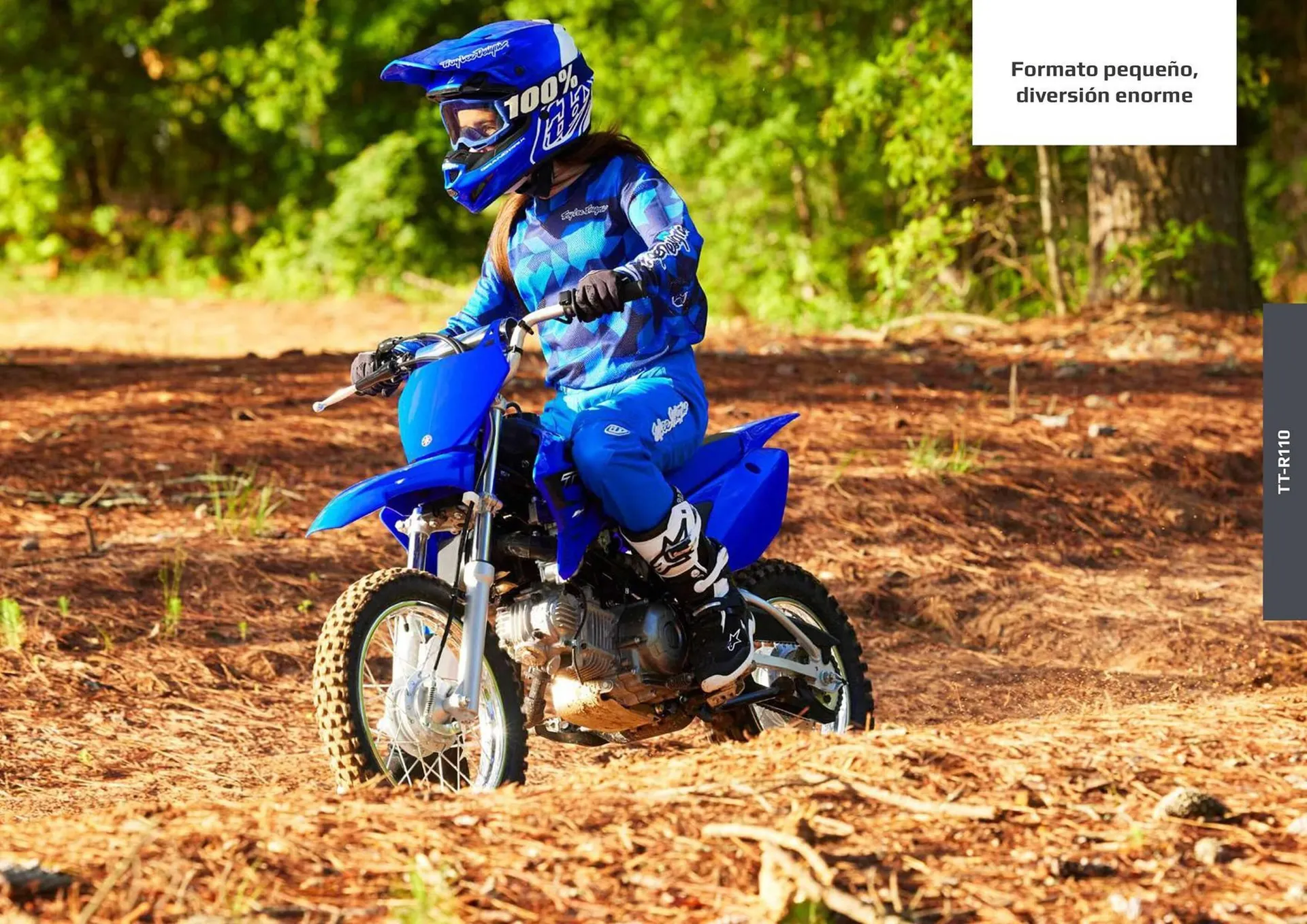 Catalogo de Catálogo Yamaha 5 de octubre al 5 de octubre 2024 - Pag 39