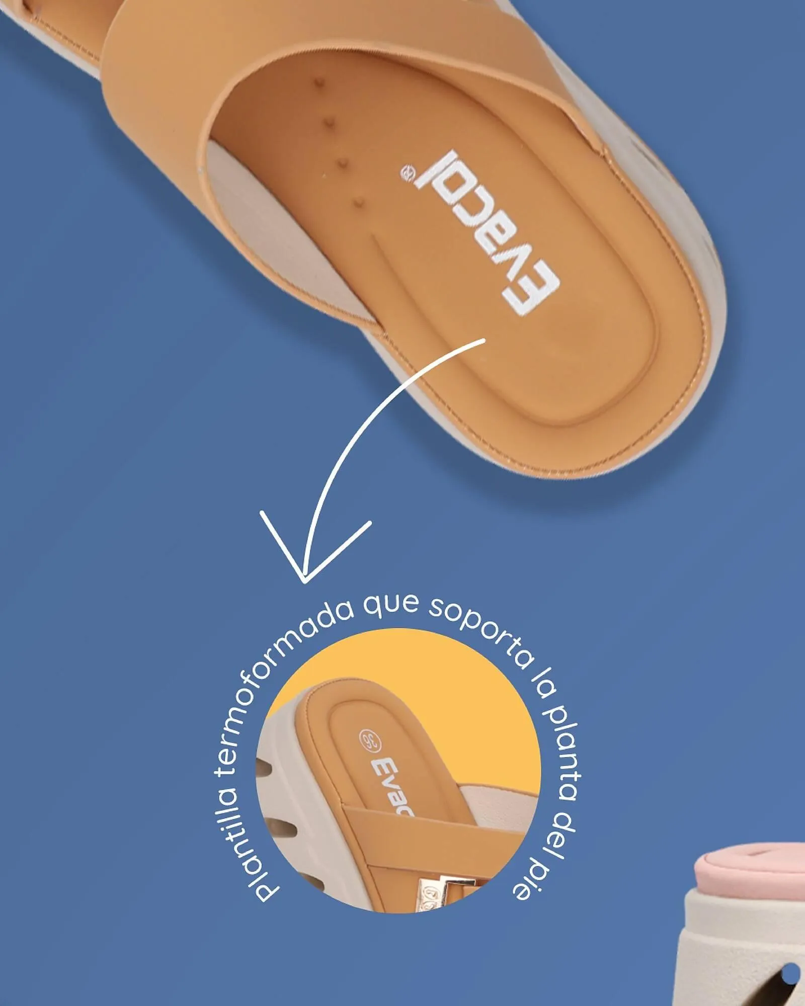 Catalogo de Catálogo Evacol 13 de diciembre al 19 de diciembre 2025 - Pag 3