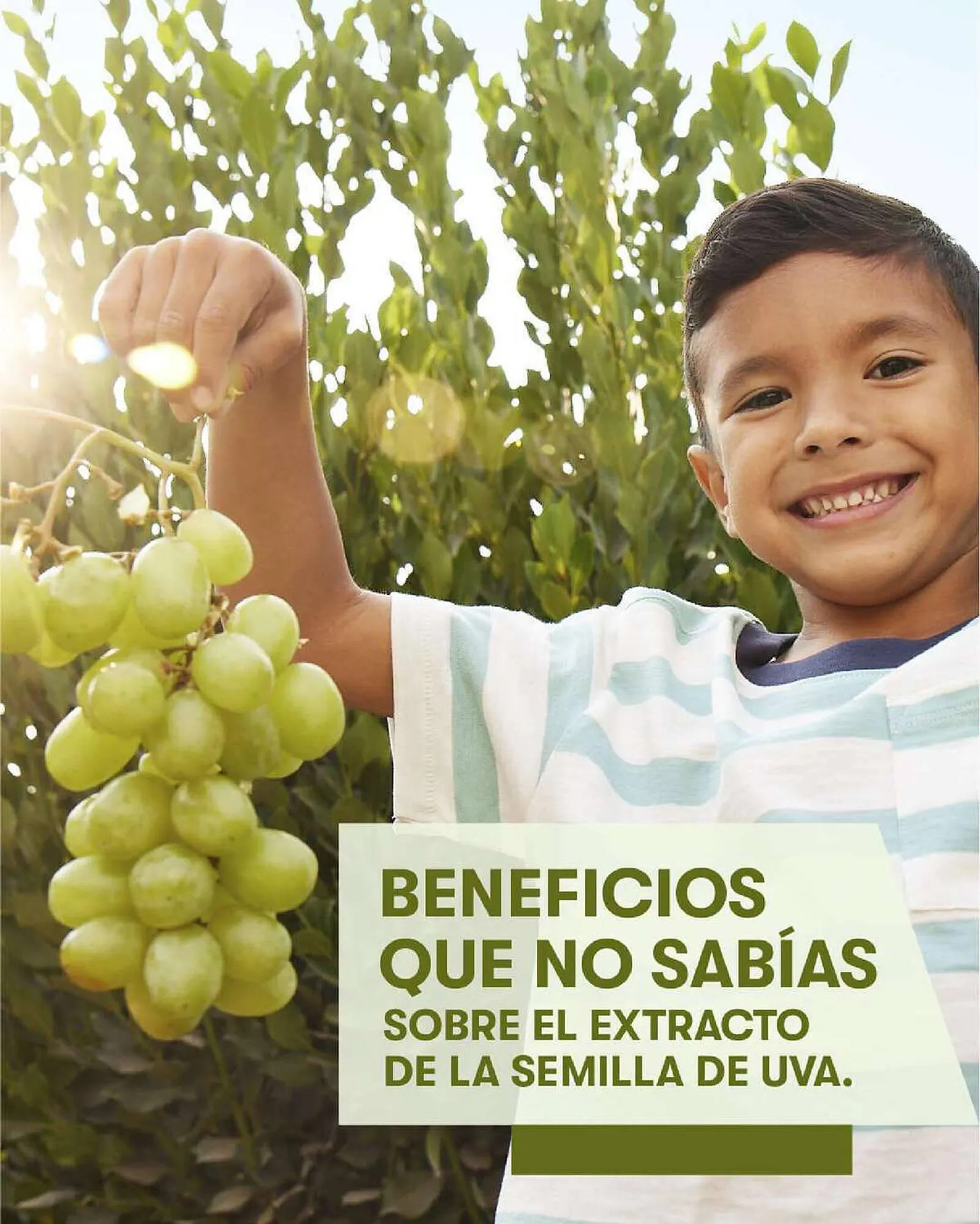 Catalogo de Catálogo Amway 9 de agosto al 11 de octubre 2023 - Pag 1