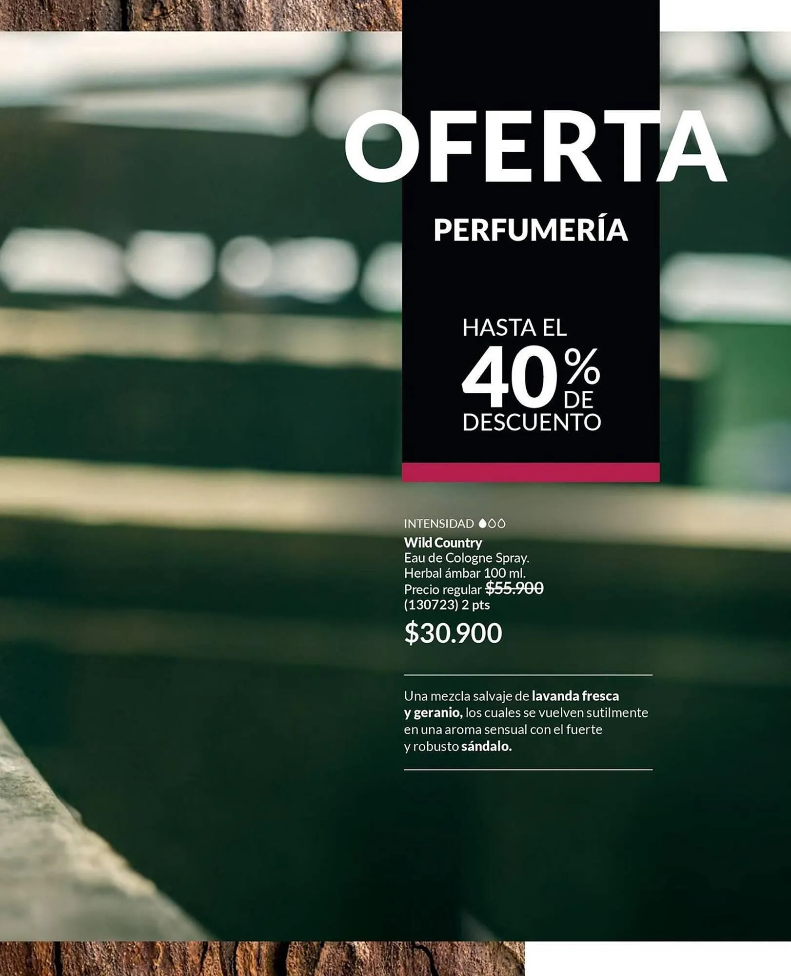 Catalogo de Catálogo Avon 17 de noviembre al 1 de diciembre 2024 - Pag 101