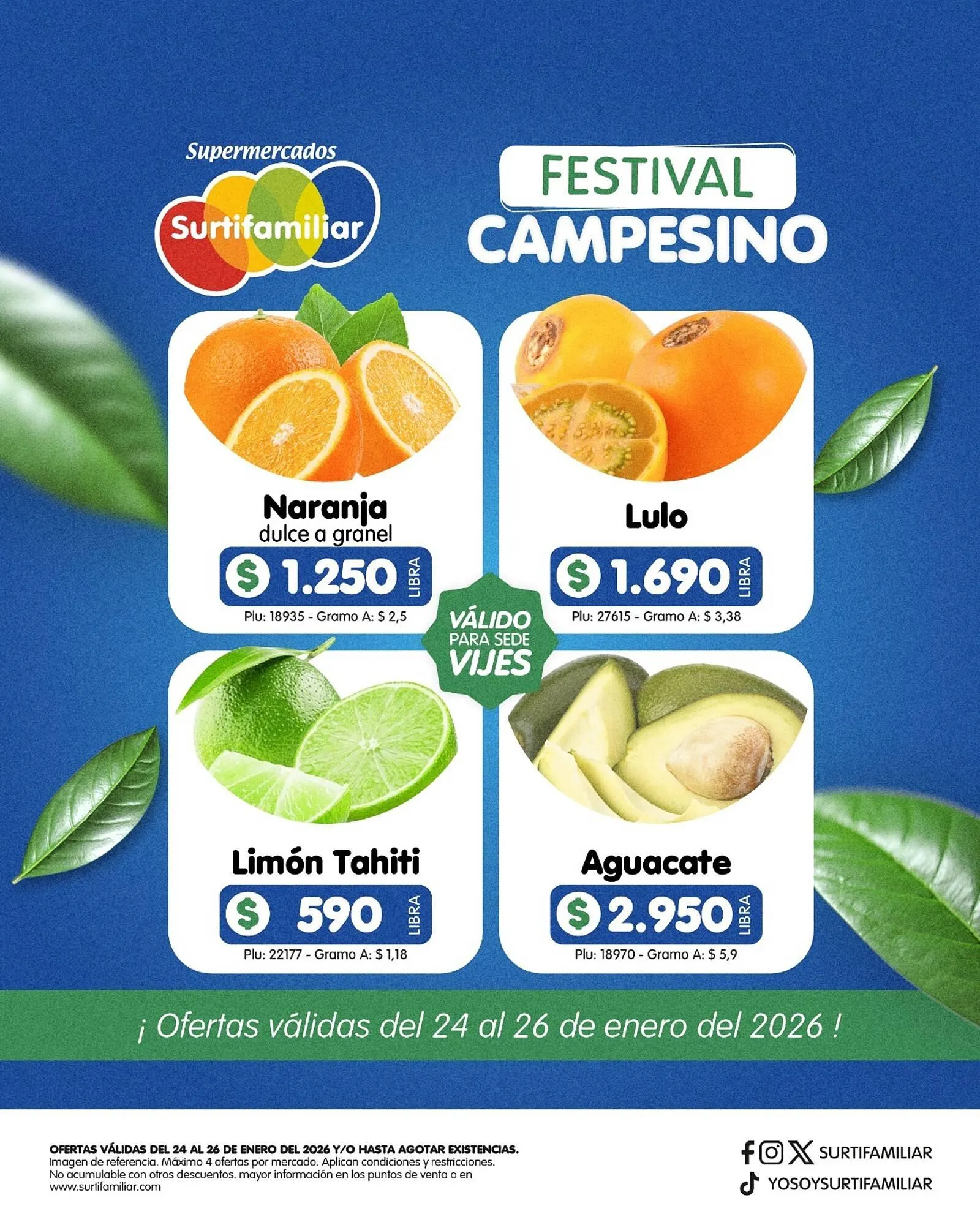 Catalogo de Catálogo Surtifamiliar 23 de enero al 26 de enero 2026 - Pag 3