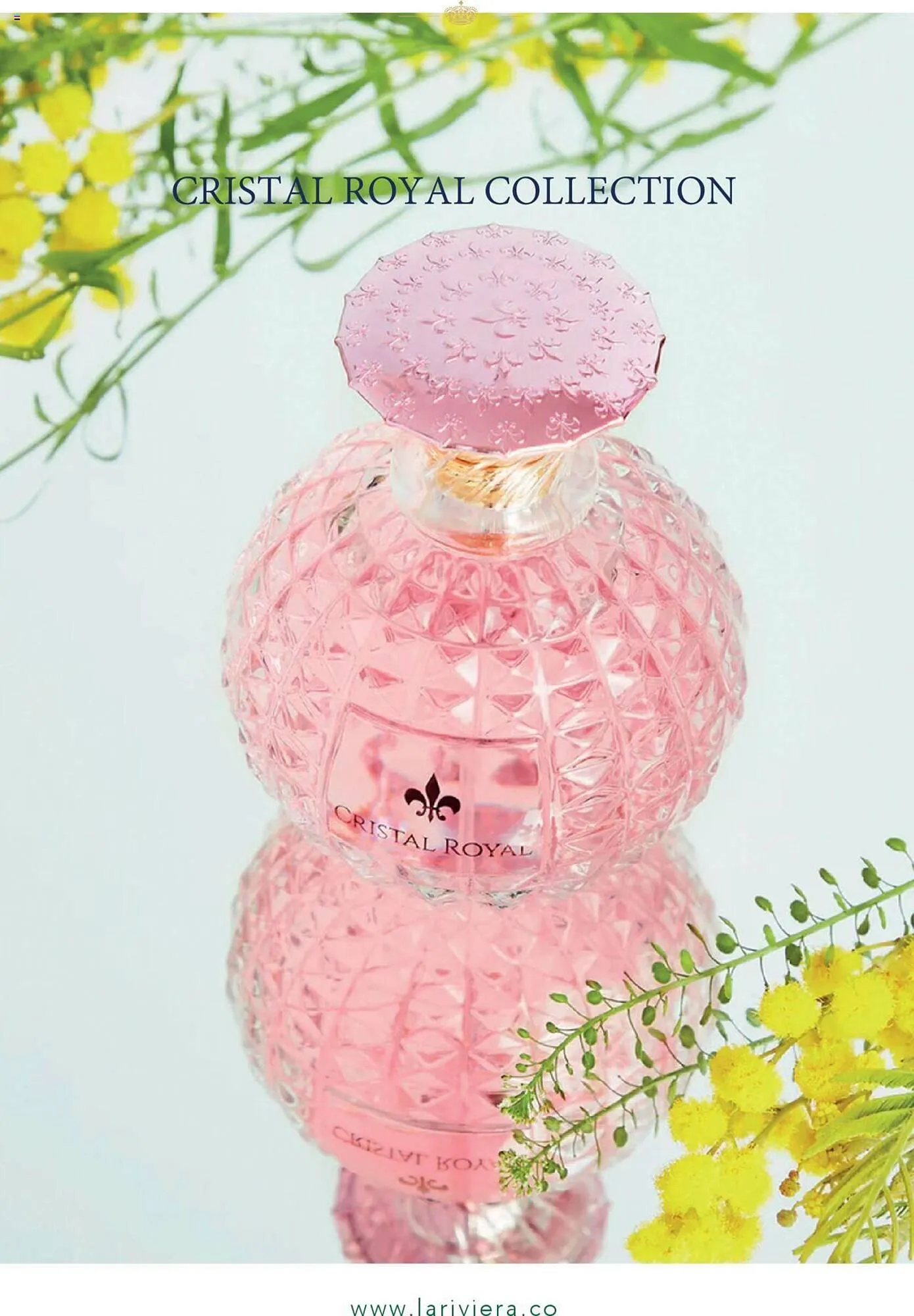 Catalogo de Catálogo La Riviera 20 de septiembre al 31 de octubre 2024 - Pag 8